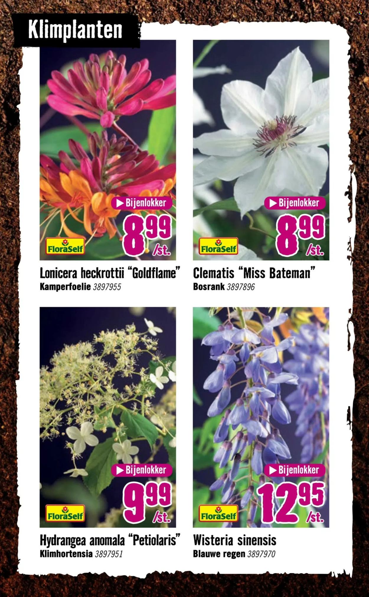 Hornbach-aanbieding - 14-4-2025 - 4-5-2025. Pagina 6