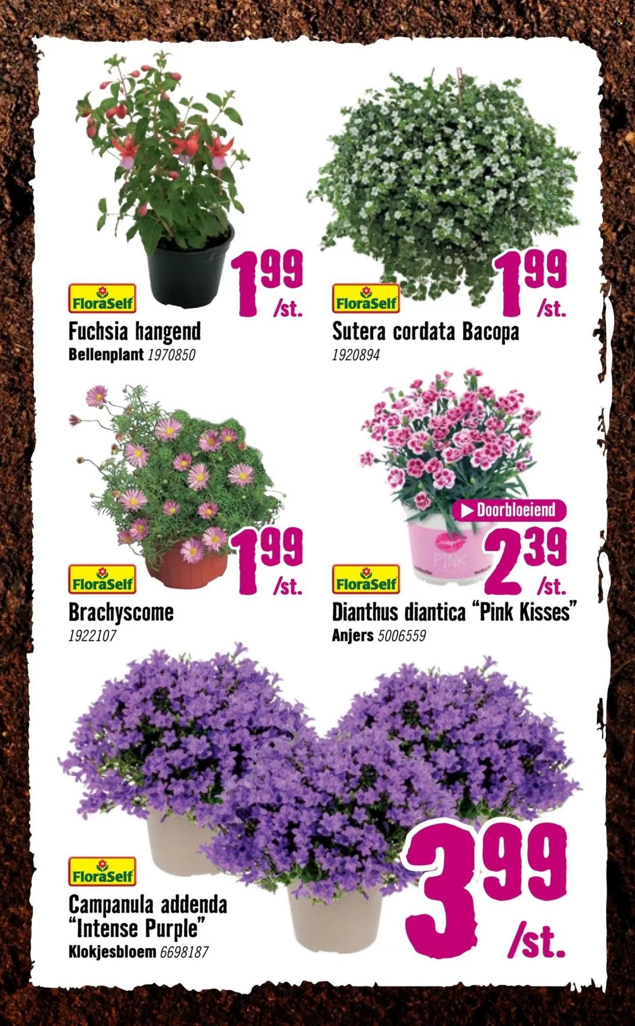 Hornbach-aanbieding - 14-4-2025 - 4-5-2025. Pagina 12