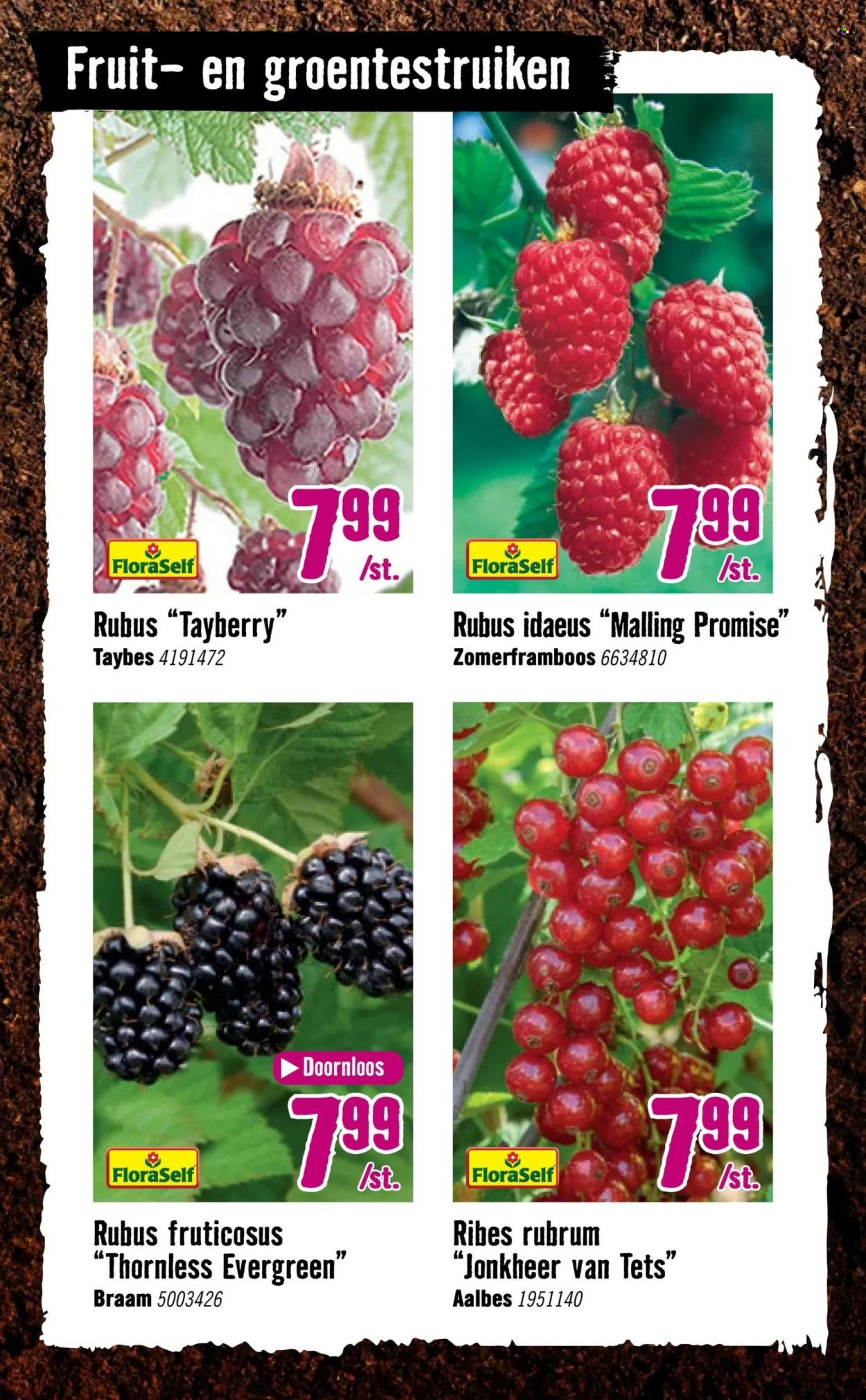 Hornbach-aanbieding - 14-4-2025 - 4-5-2025. Pagina 25
