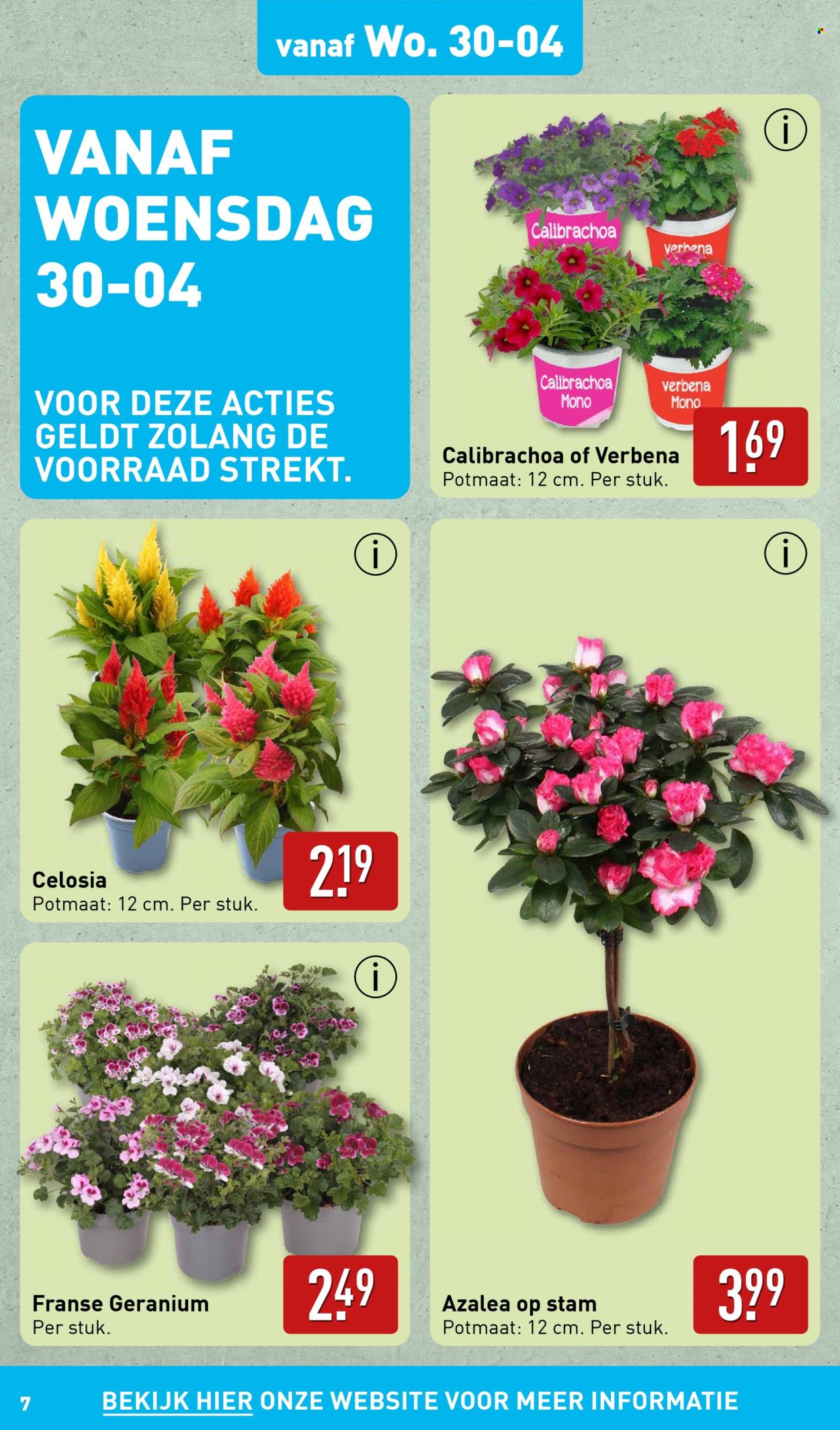 Aldi-aanbieding - 23-4-2025 - 30-4-2025. Pagina 7