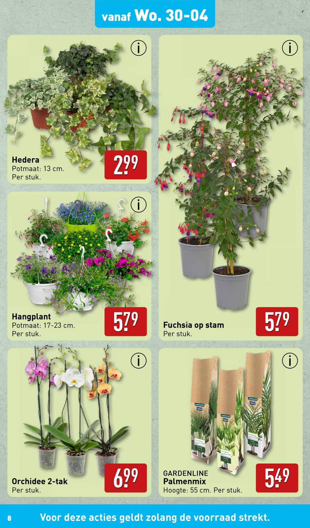 Aldi-aanbieding - 23-4-2025 - 30-4-2025. Pagina 8