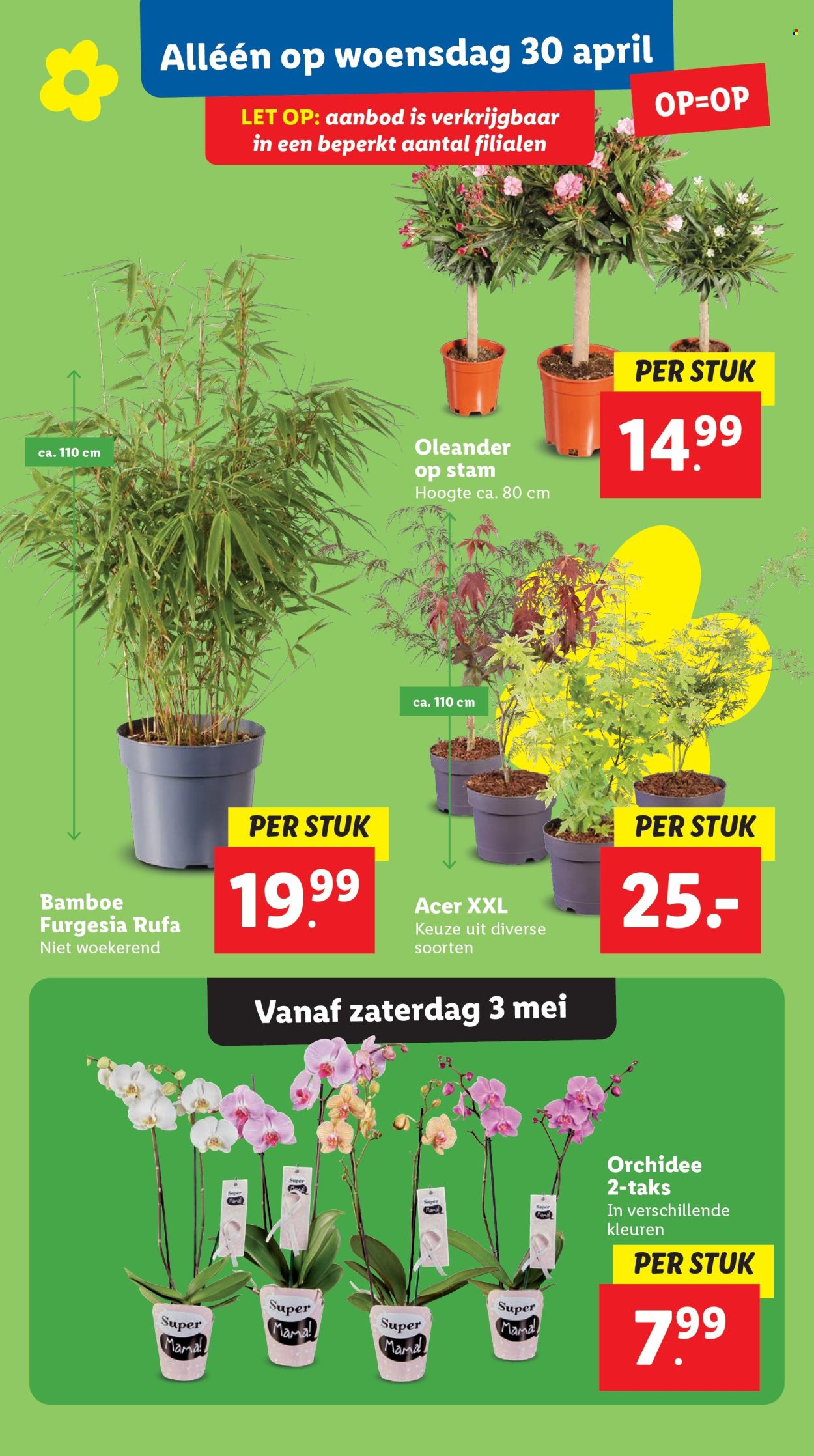 Lidl-aanbieding - 28-4-2025 - 4-5-2025. Pagina 33