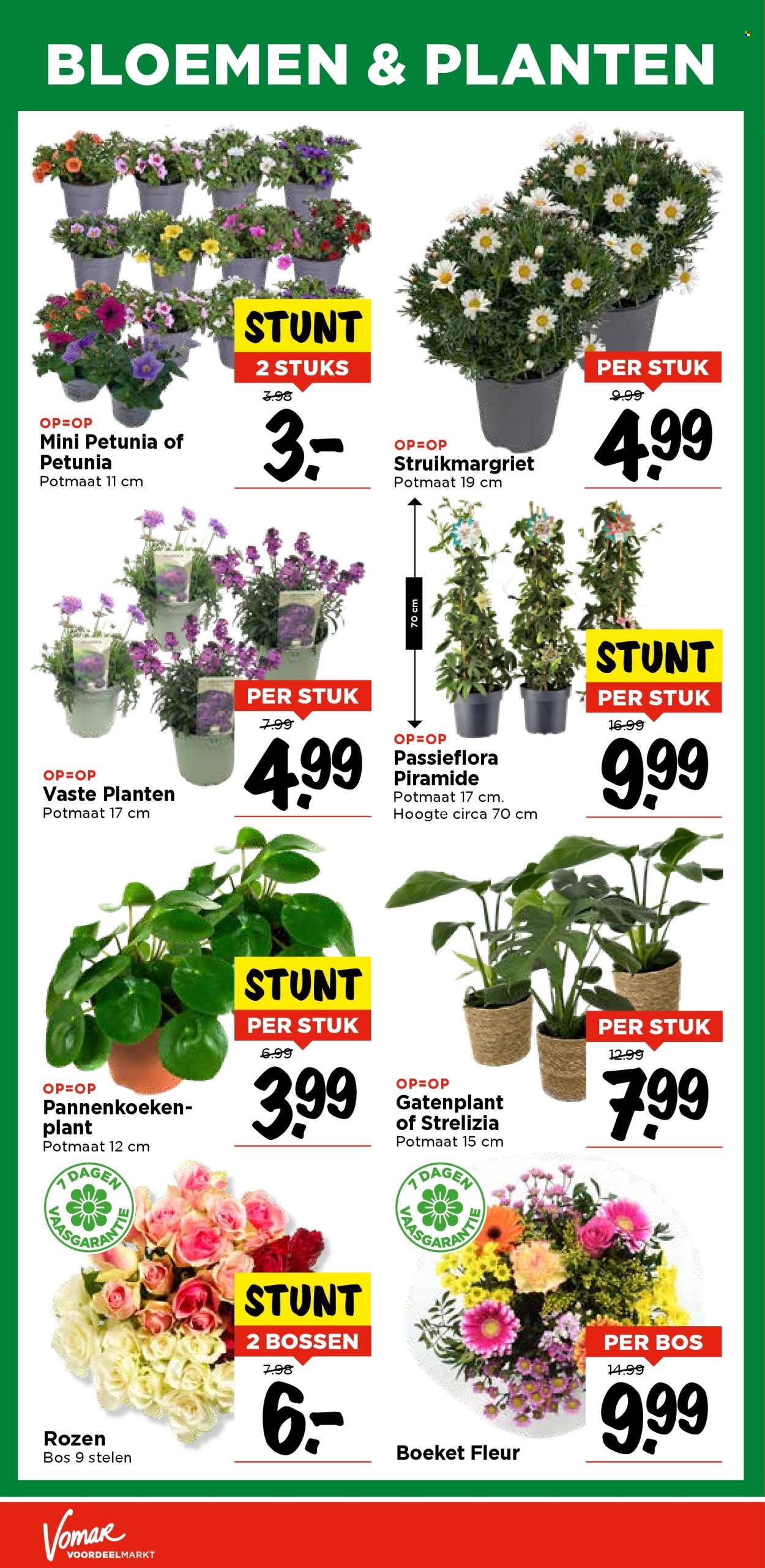 Vomar-aanbieding - 27-4-2025 - 3-5-2025. Pagina 30