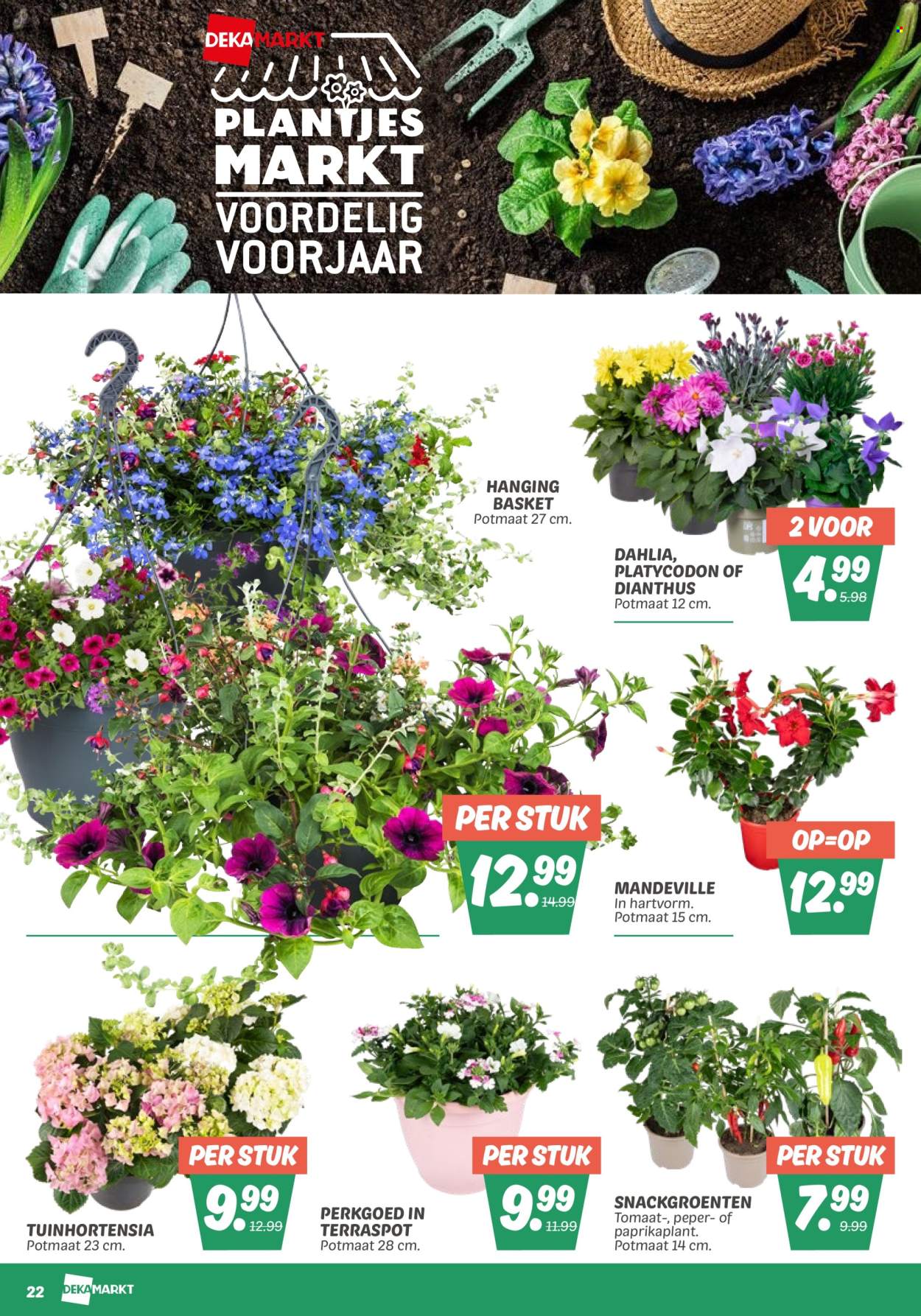 DekaMarkt-aanbieding - 6-5-2025 - 12-5-2025. Pagina 24