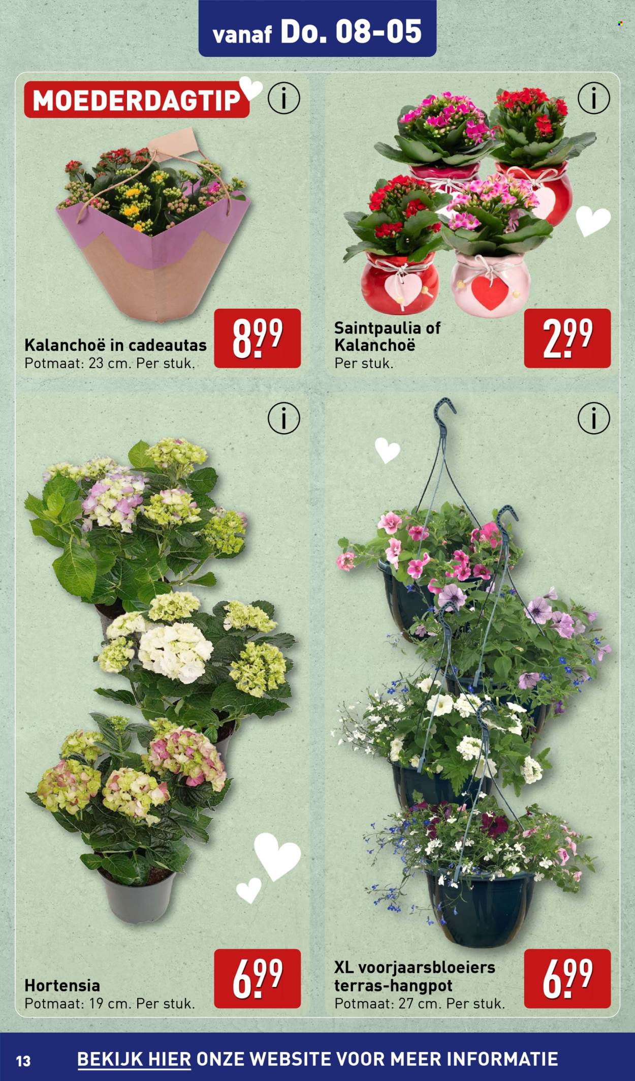 Aldi-aanbieding - 30-4-2025 - 8-5-2025. Pagina 13