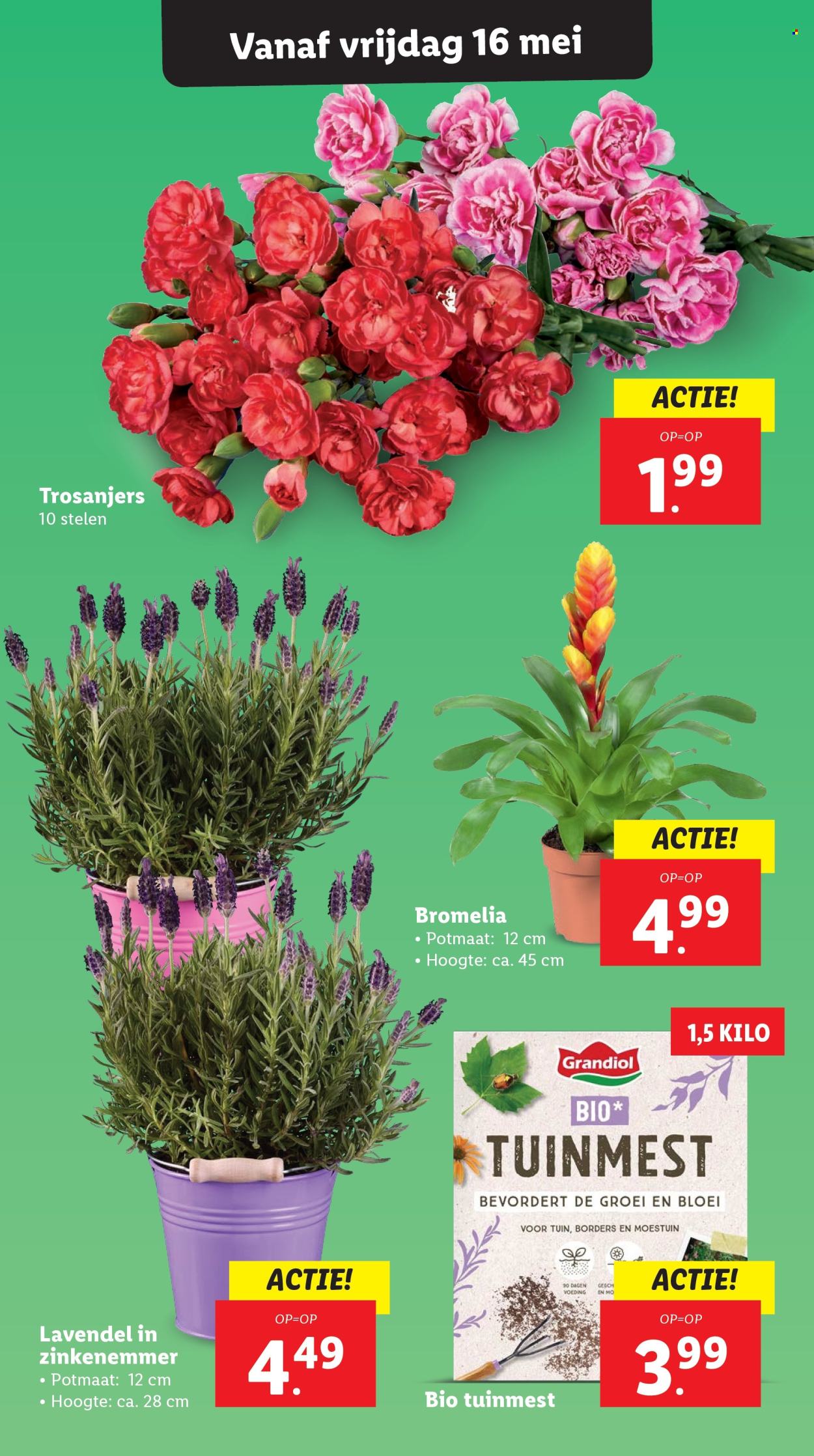 Lidl-aanbieding - 12-5-2025 - 18-5-2025. Pagina 19