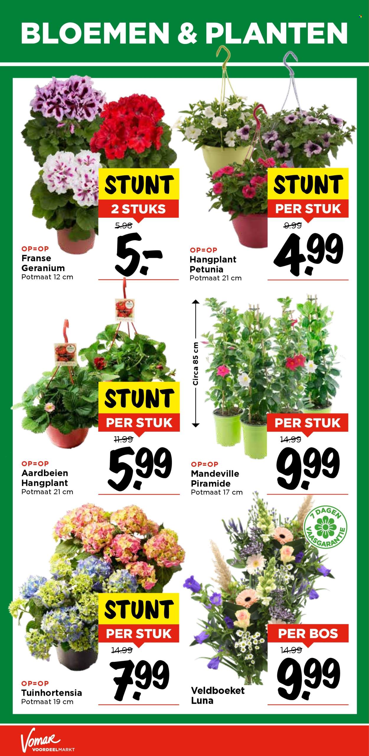 Vomar-aanbieding - 11-5-2025 - 17-5-2025. Pagina 34