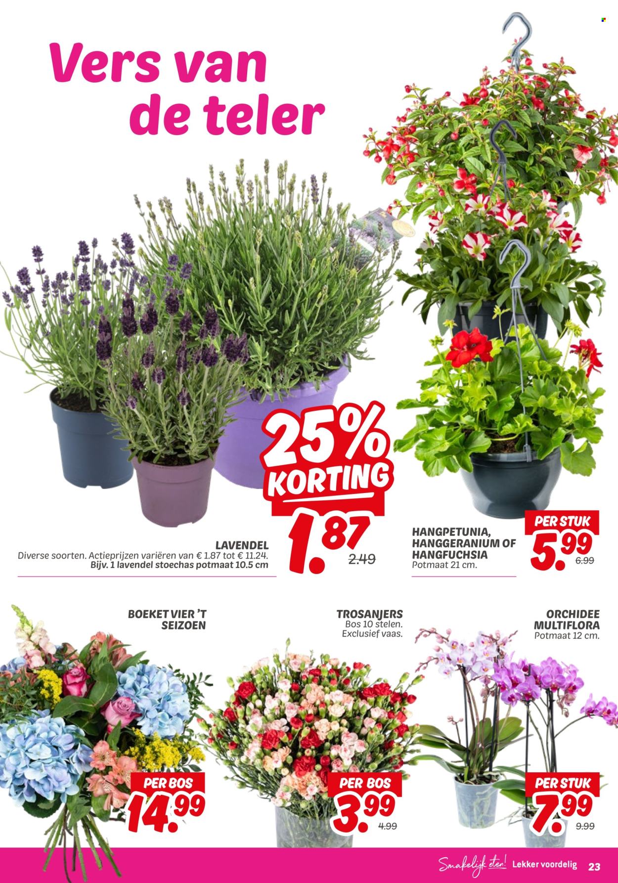 DekaMarkt-aanbieding - 13-5-2025 - 19-5-2025. Pagina 25