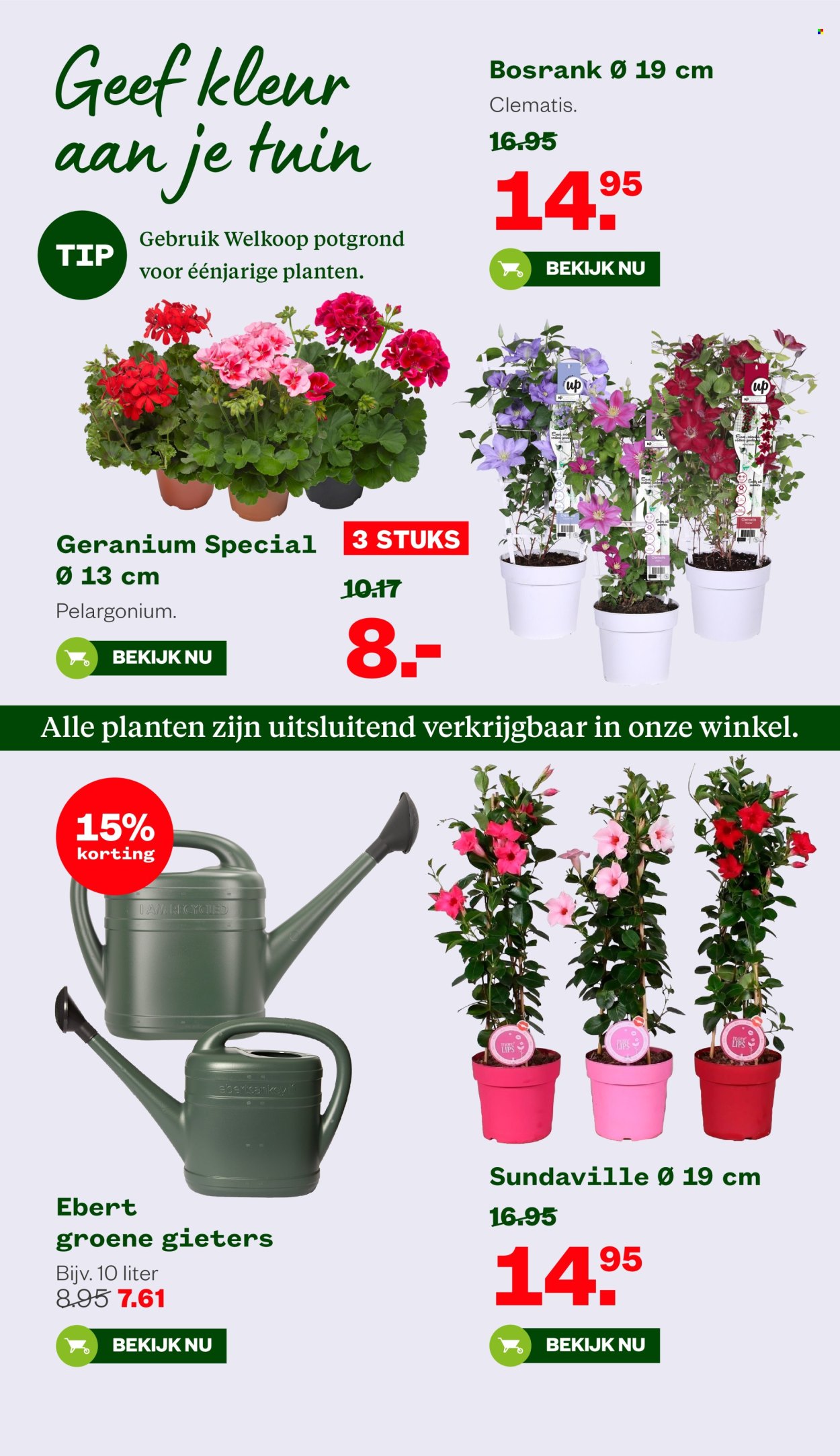 Welkoop-aanbieding - 12-5-2025 - 25-5-2025. Pagina 6