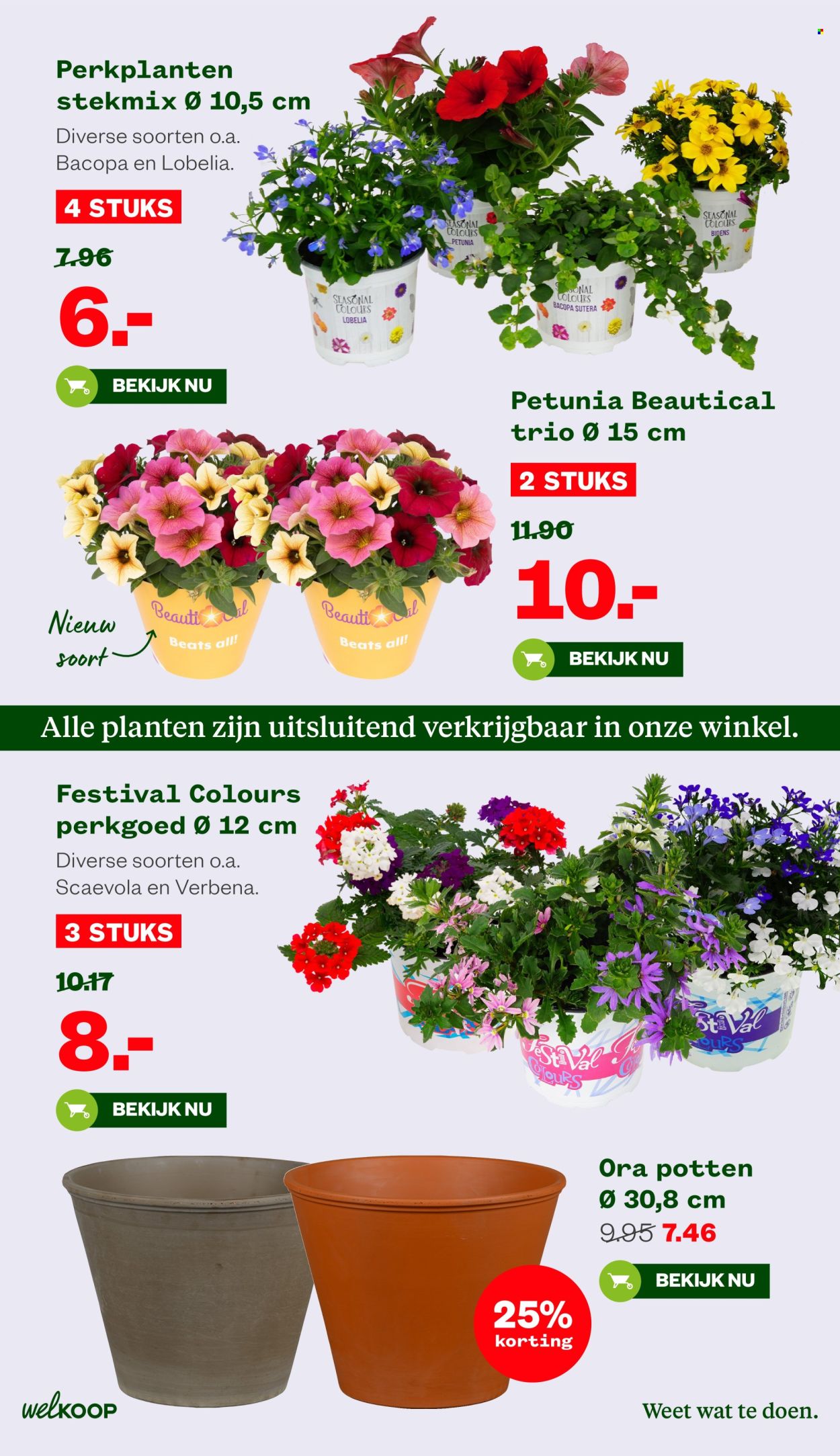 Welkoop-aanbieding - 12-5-2025 - 25-5-2025. Pagina 7