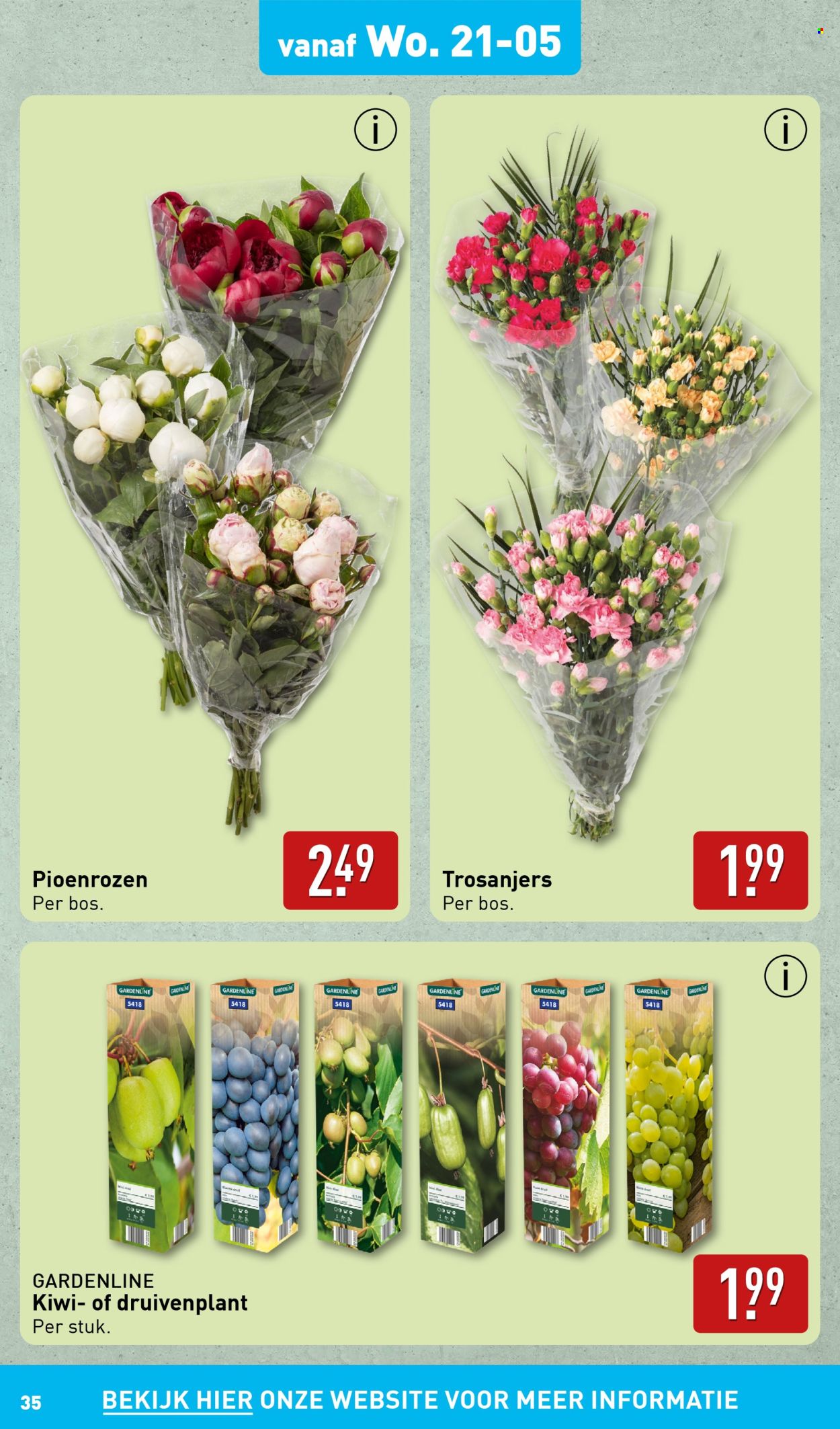 Aldi-aanbieding - 19-5-2025 - 25-5-2025. Pagina 35