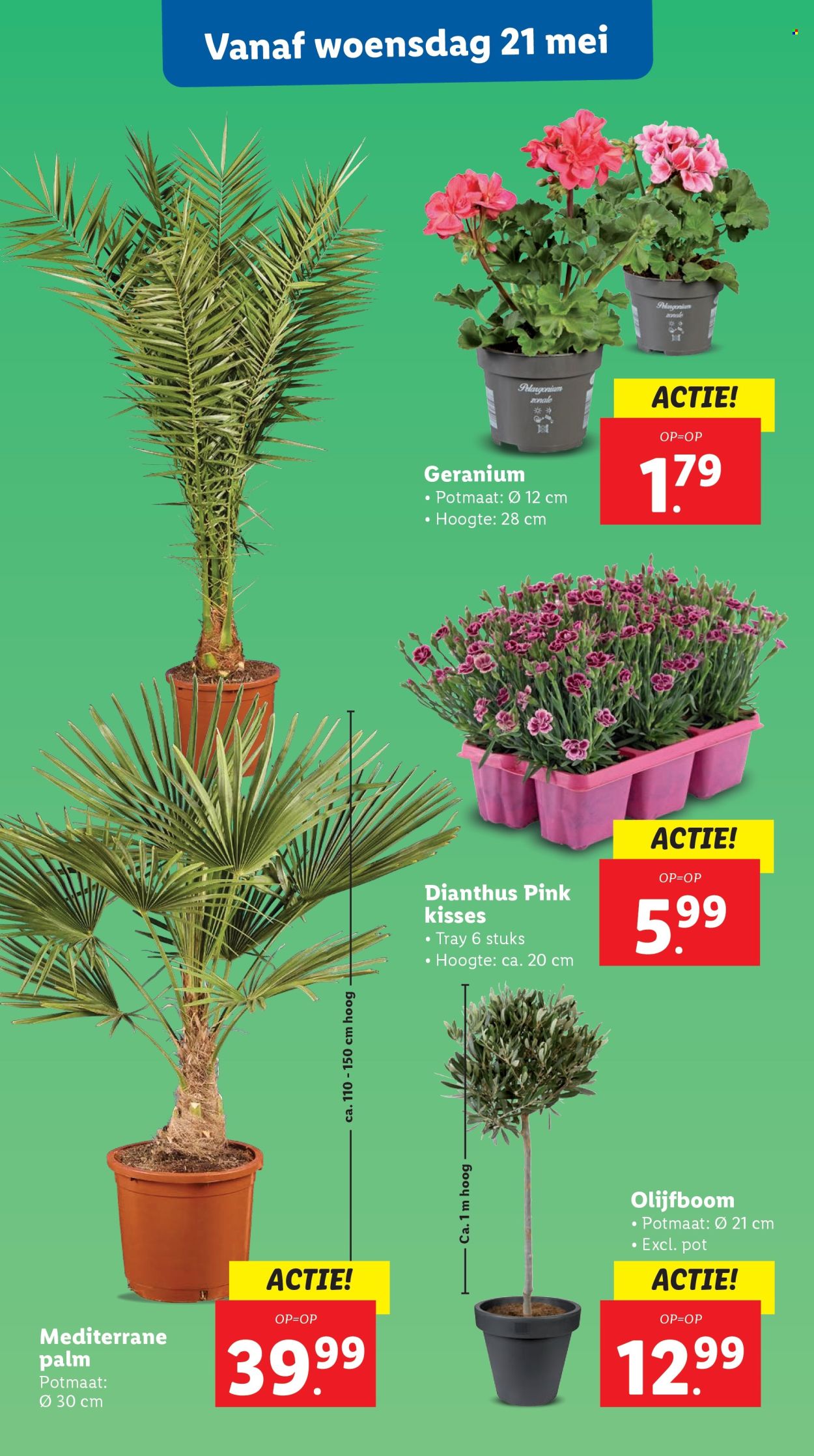 Lidl-aanbieding - 19-5-2025 - 25-5-2025. Pagina 18