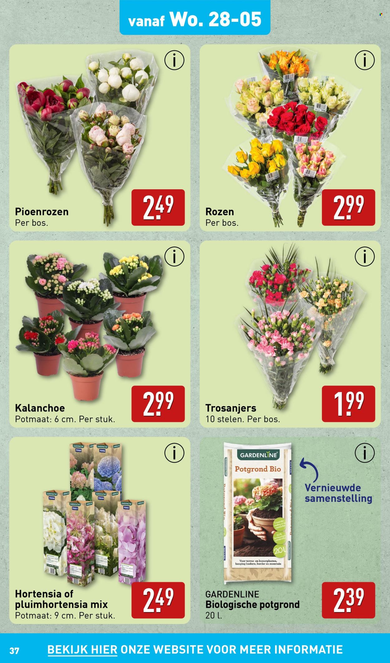 Aldi-aanbieding - 26-5-2025 - 1-6-2025. Pagina 37