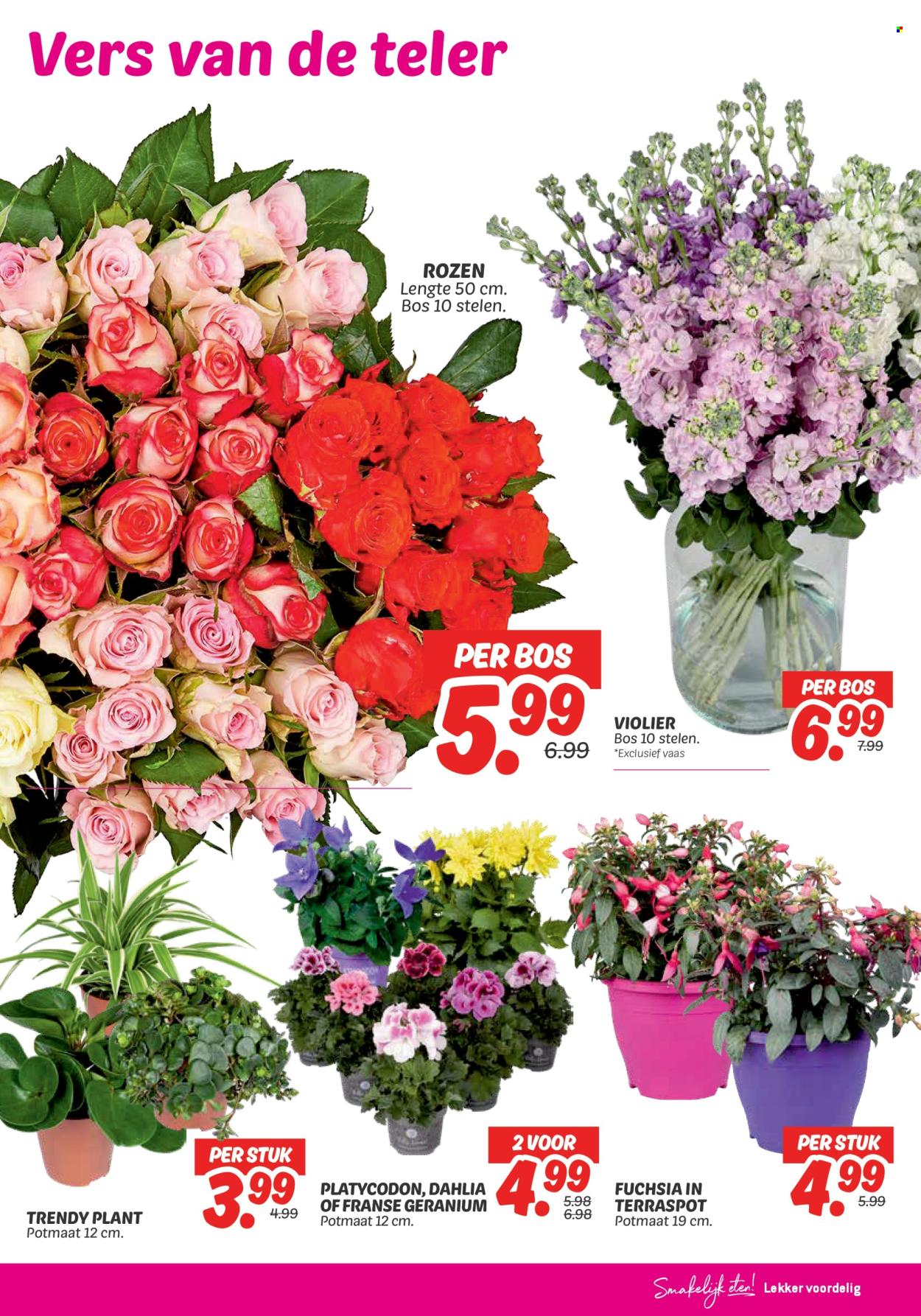 DekaMarkt-aanbieding - 27-5-2025 - 2-6-2025. Pagina 23