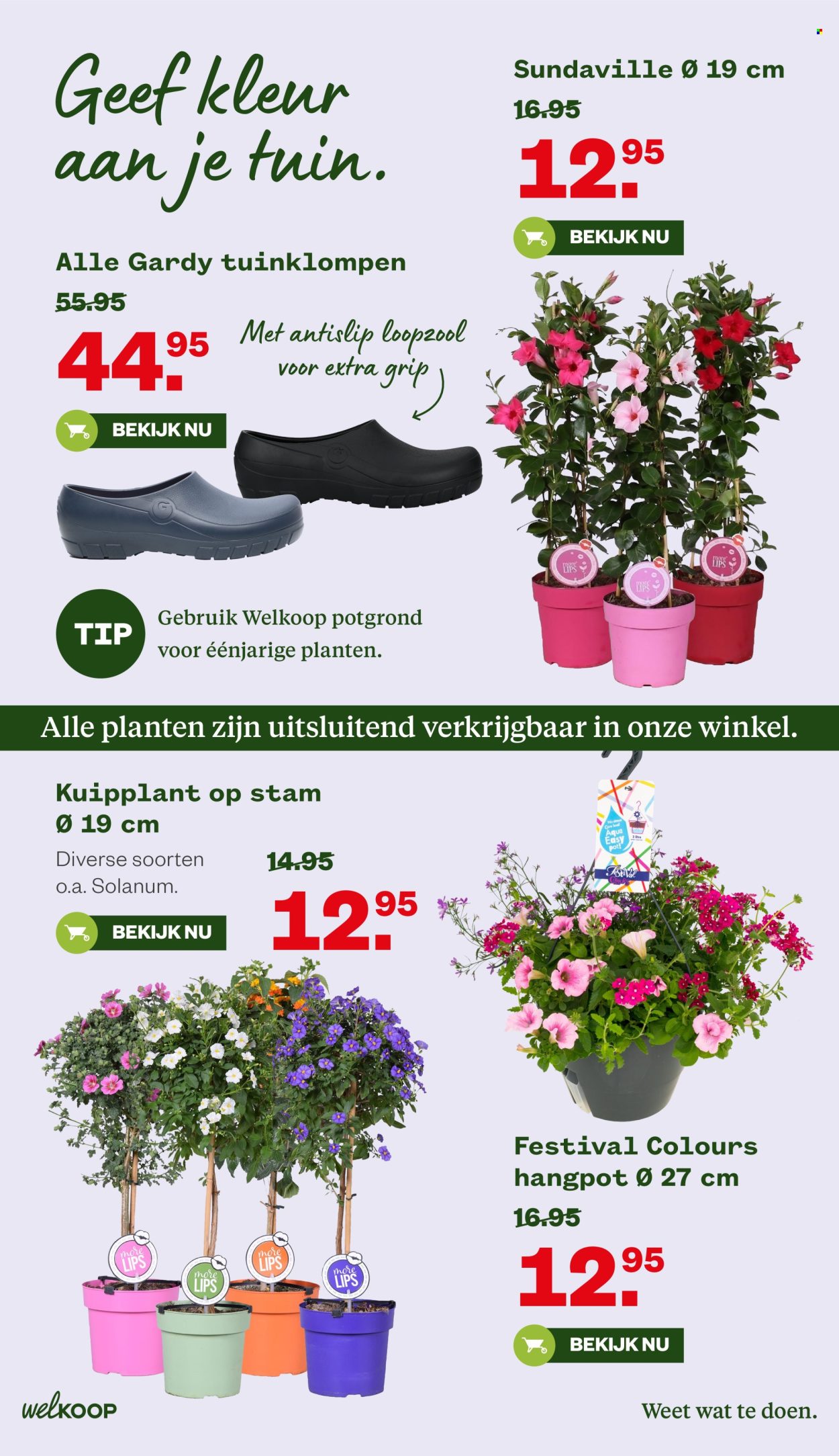 Welkoop-aanbieding - 26-5-2025 - 9-6-2025. Pagina 5