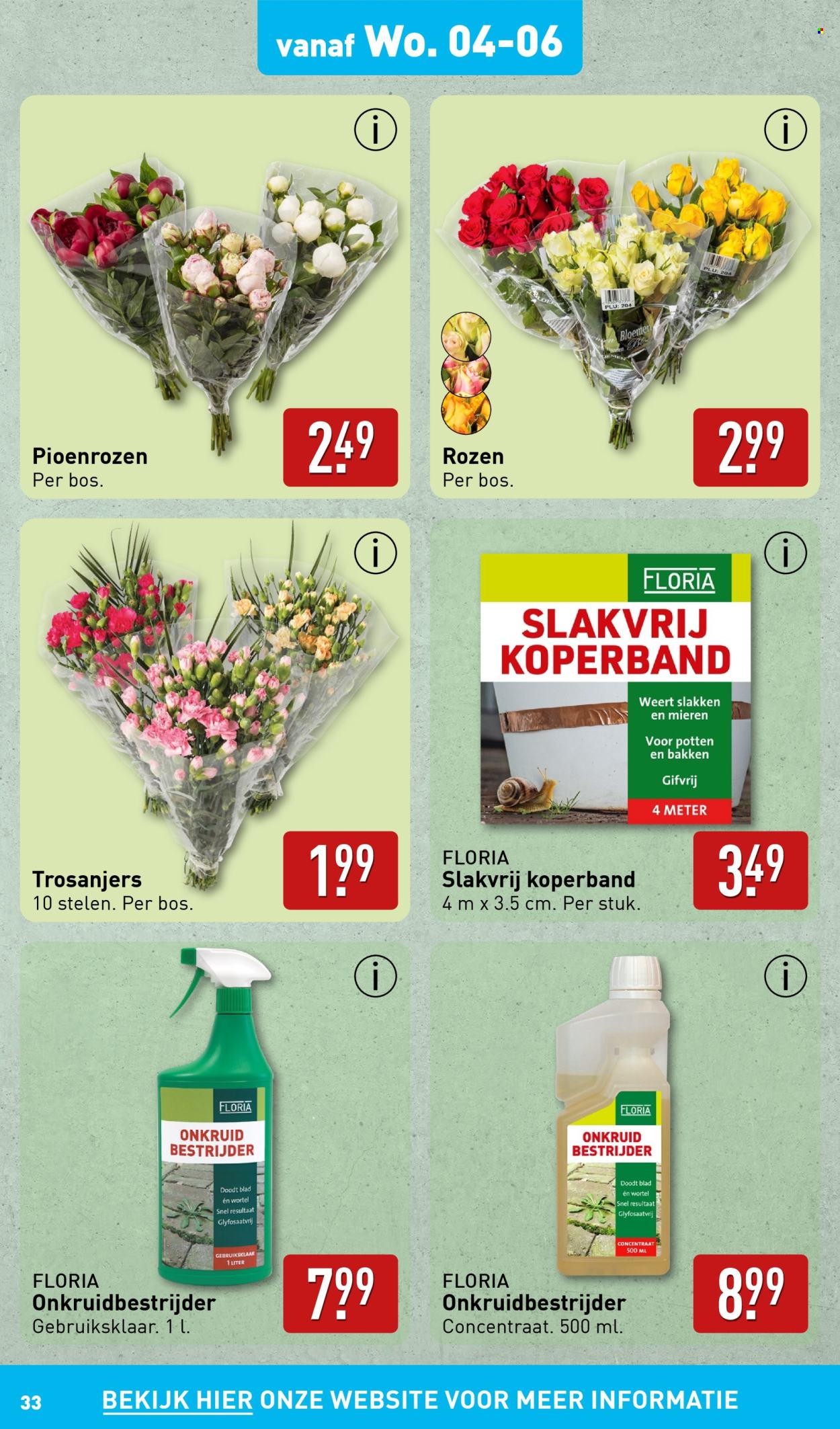 Aldi-aanbieding - 2-6-2025 - 9-6-2025. Pagina 33