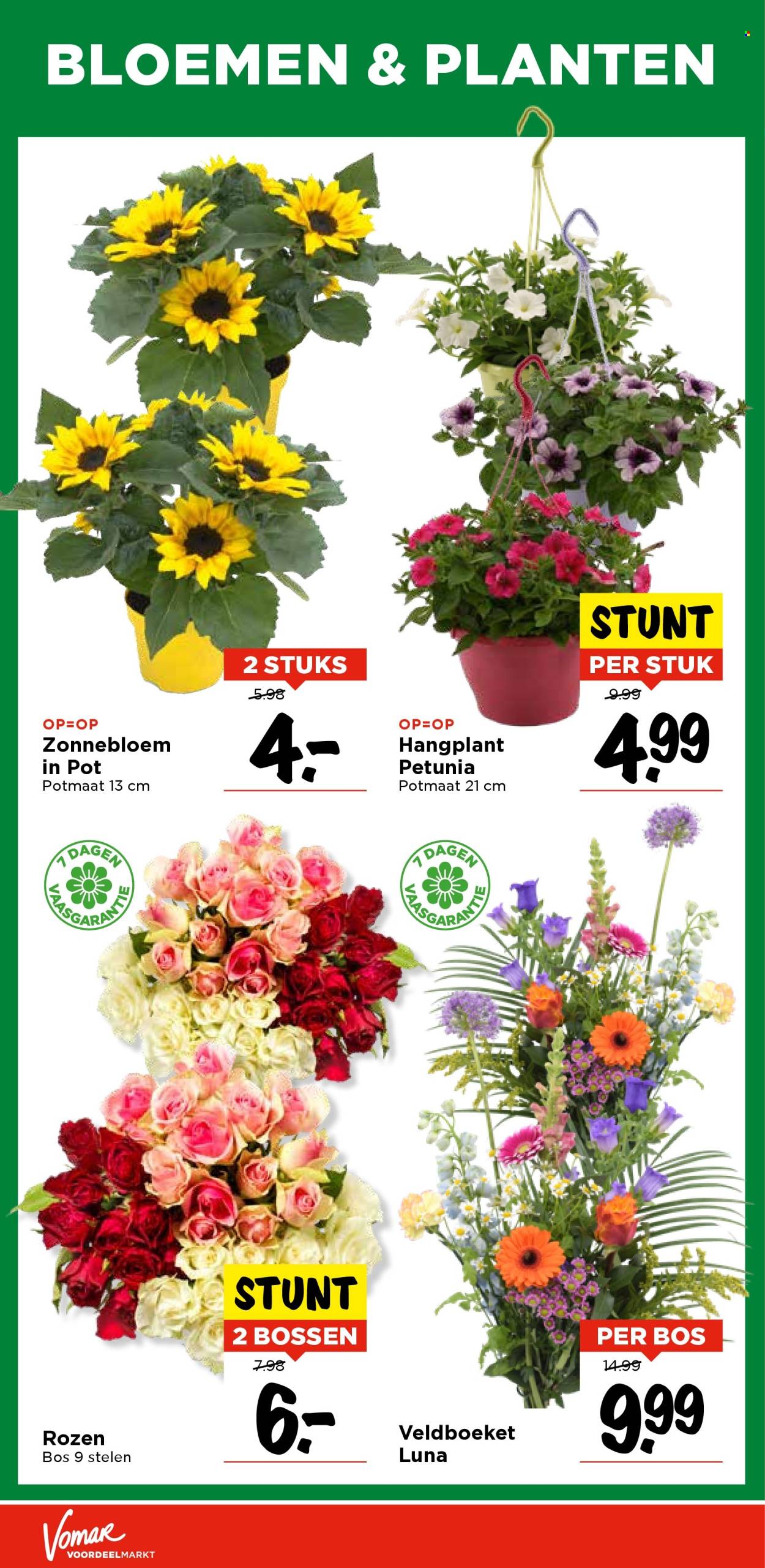 Vomar-aanbieding - 29-5-2025 - 31-5-2025. Pagina 38