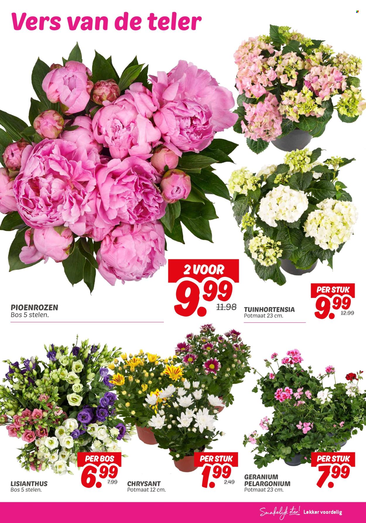DekaMarkt-aanbieding - 3-6-2025 - 9-6-2025. Pagina 21