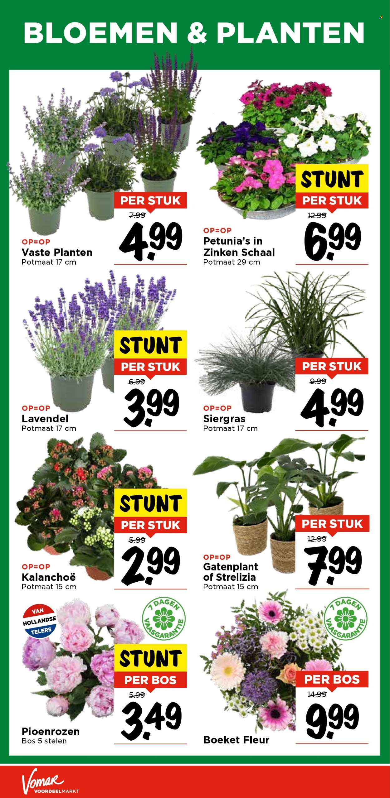 Vomar-aanbieding - 1-6-2025 - 7-6-2025. Pagina 29