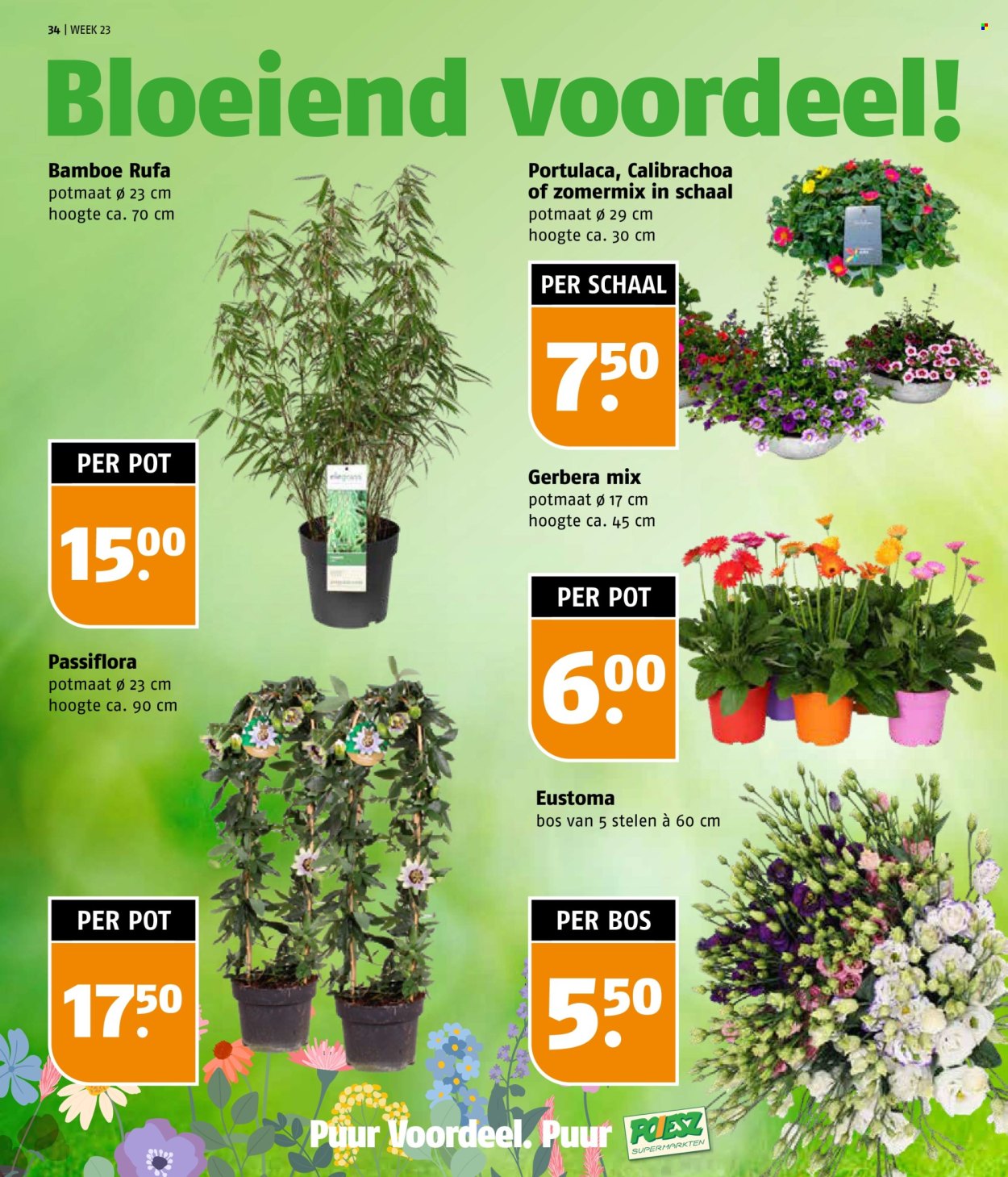 Poiesz-aanbieding - 2-6-2025 - 8-6-2025. Pagina 34