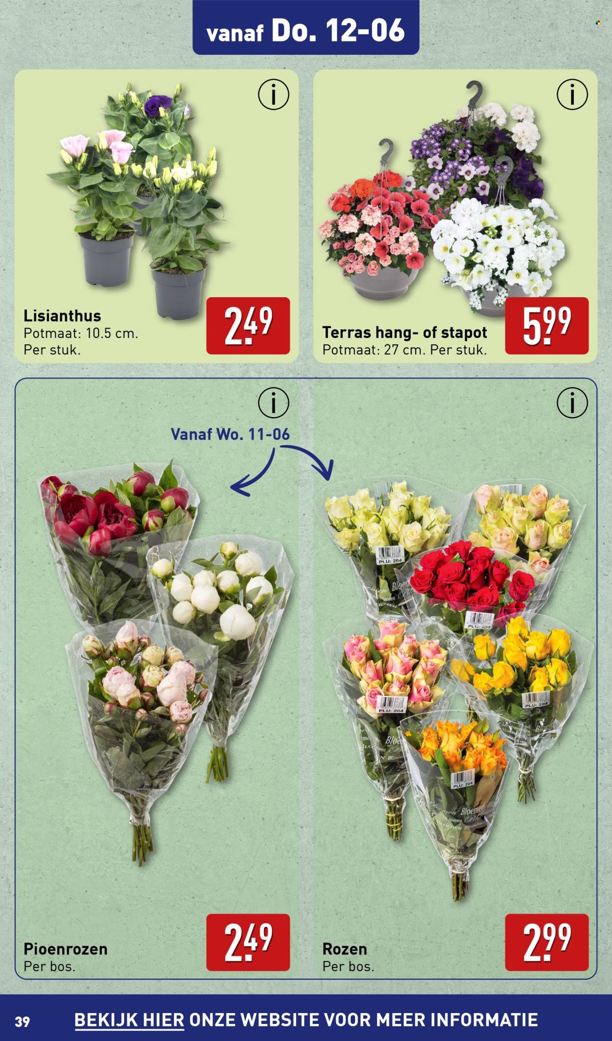 Aldi-aanbieding - 10-6-2025 - 15-6-2025. Pagina 39