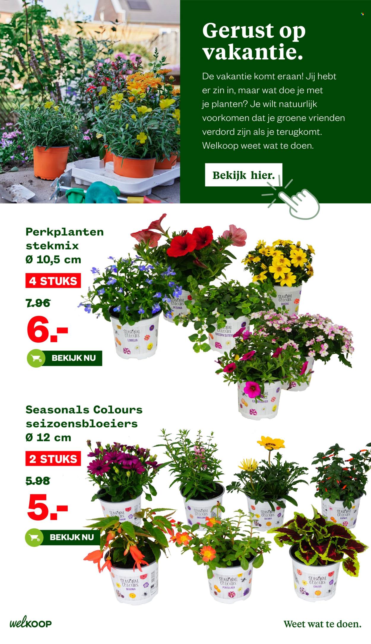 Welkoop-aanbieding - 10-6-2025 - 22-6-2025. Pagina 11