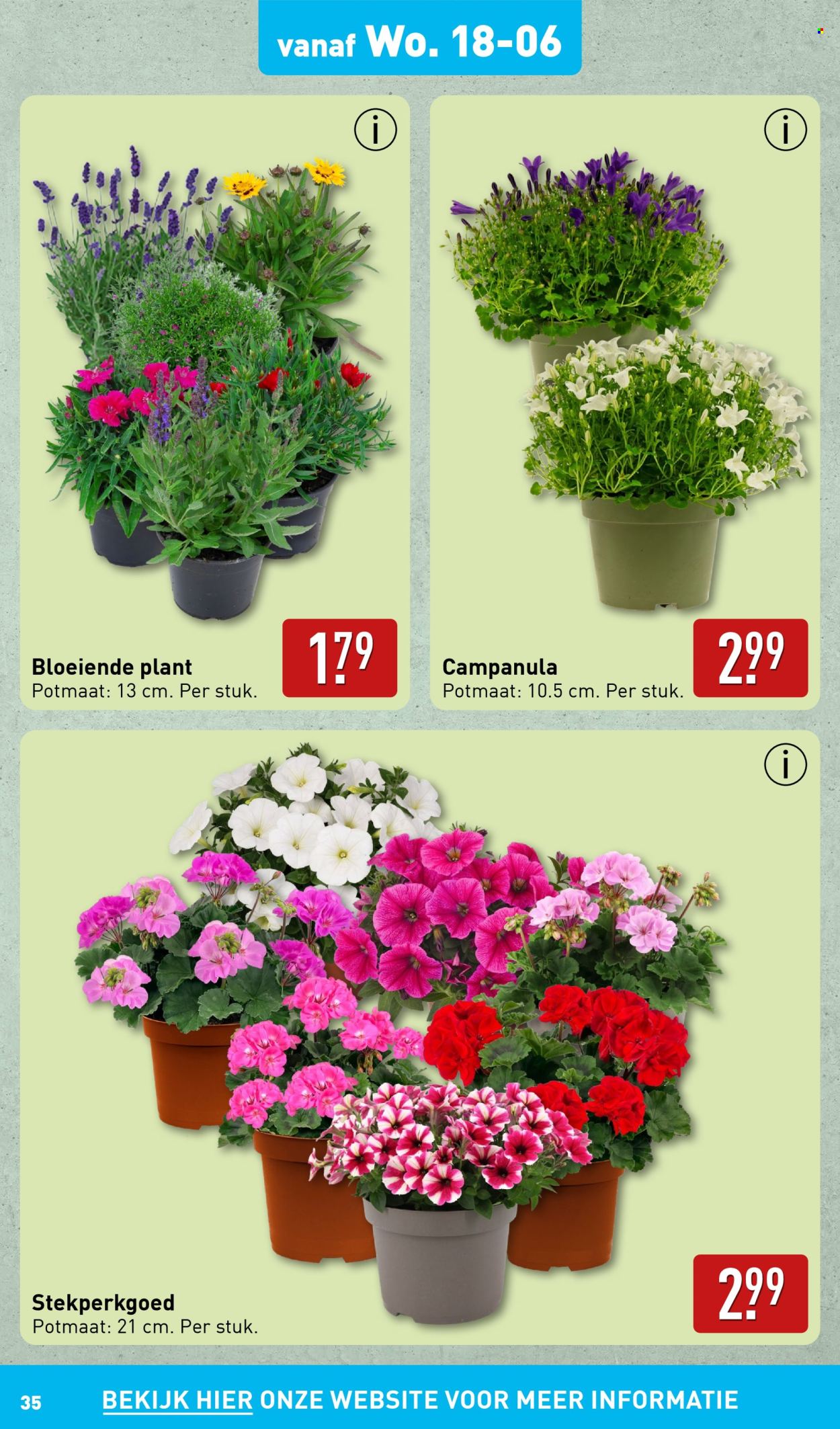 Aldi-aanbieding - 16-6-2025 - 22-6-2025. Pagina 35