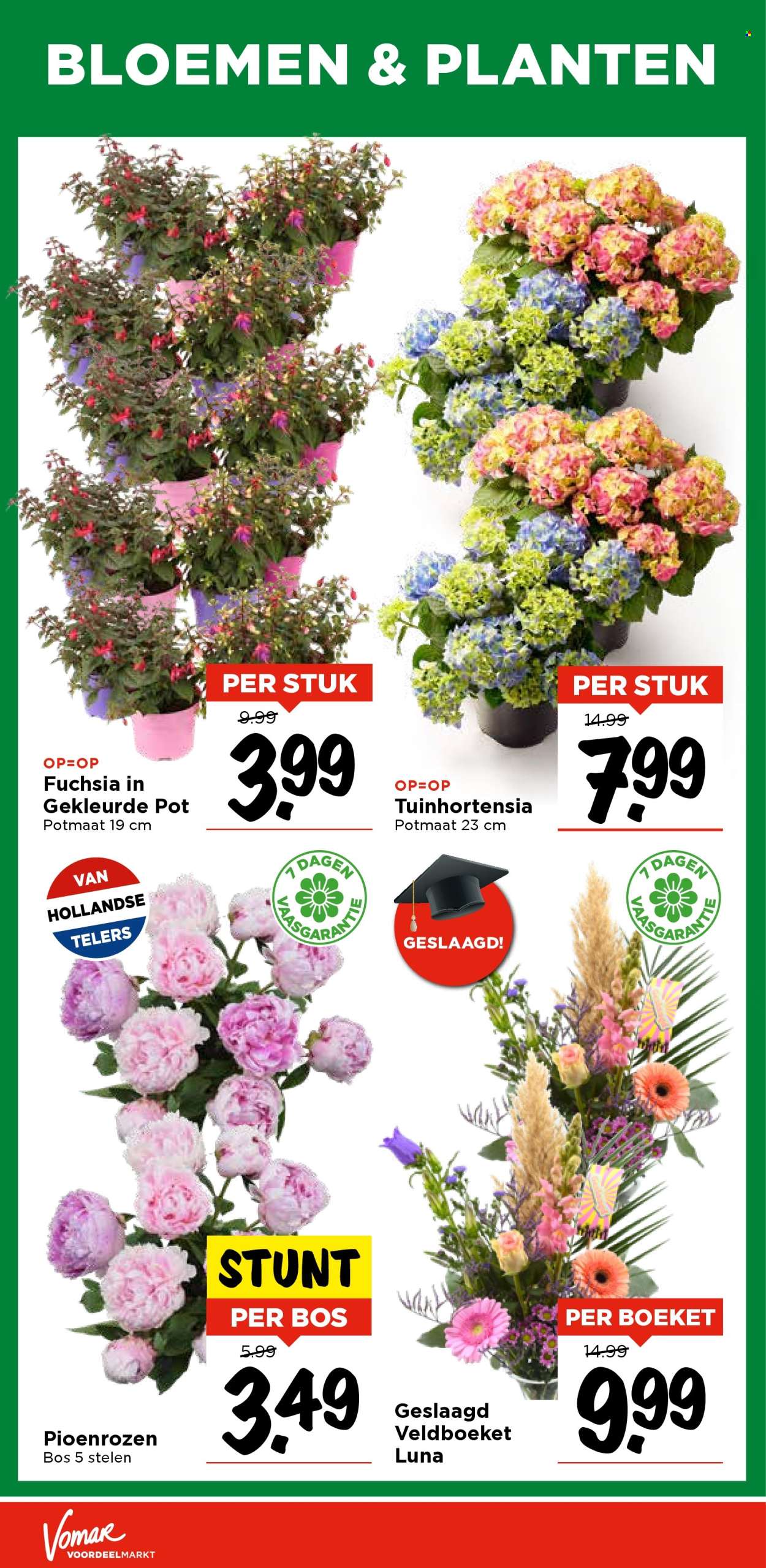Vomar-aanbieding - 12-6-2025 - 14-6-2025. Pagina 39