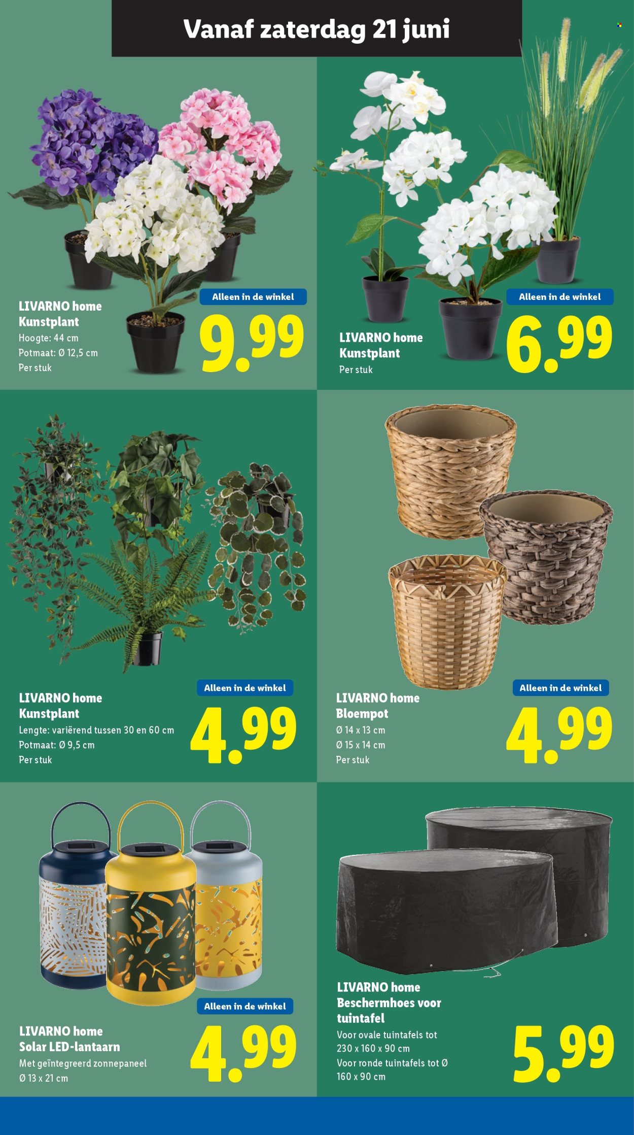 Lidl-aanbieding - 16-6-2025 - 22-6-2025. Pagina 35