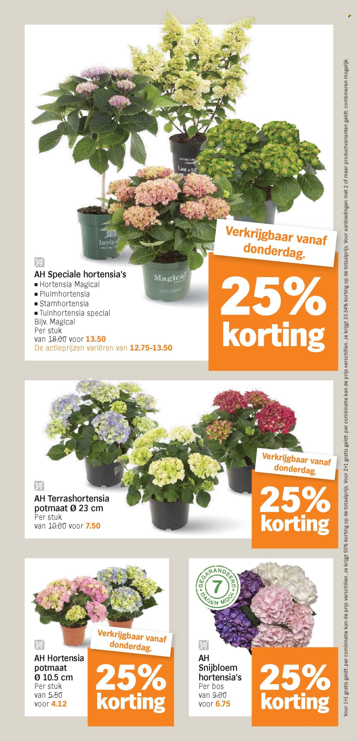 Albert Heijn-aanbieding - 16-6-2025 - 22-6-2025. Pagina 34