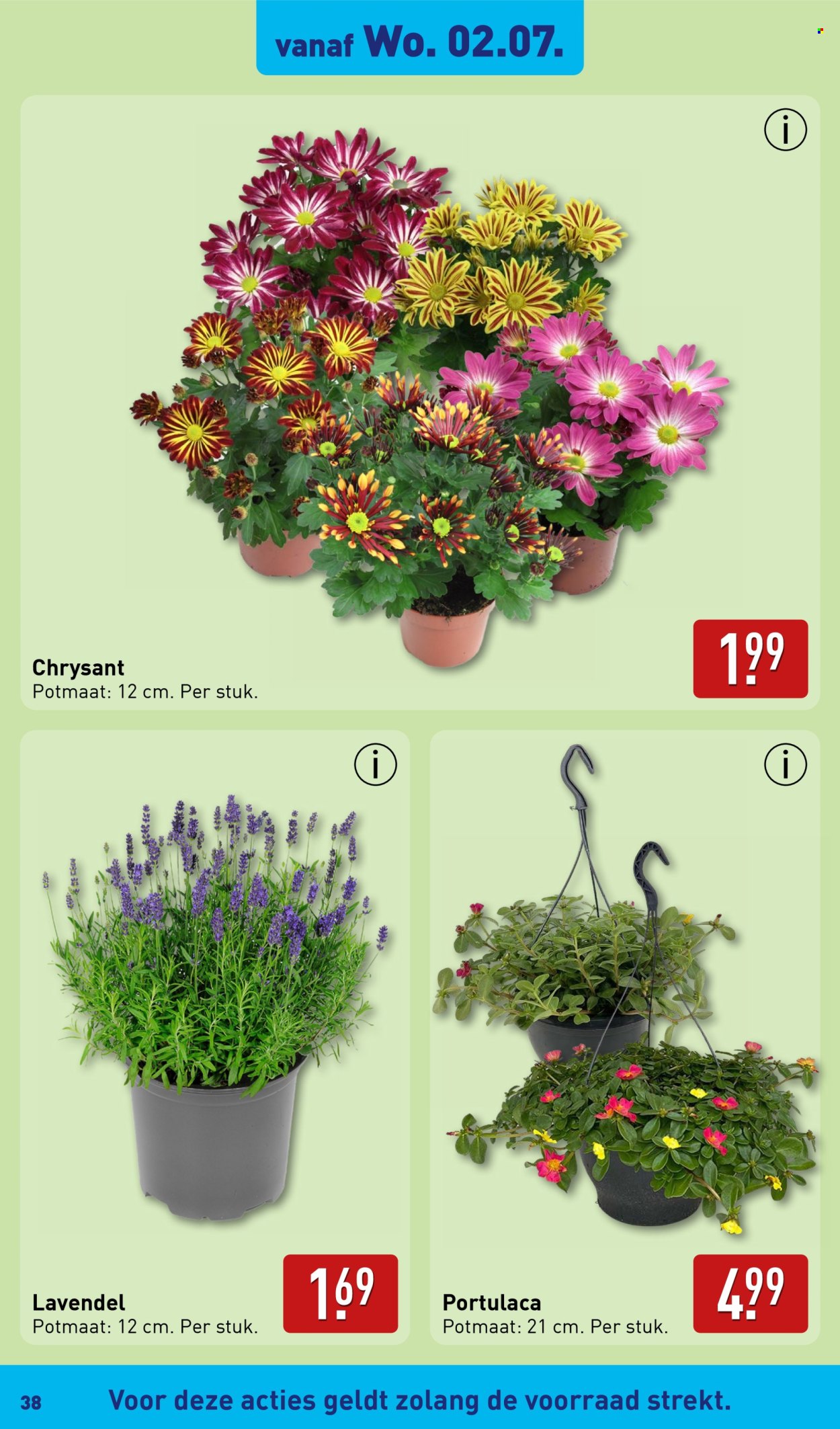 Aldi-aanbieding - 30-6-2025 - 6-7-2025. Pagina 38