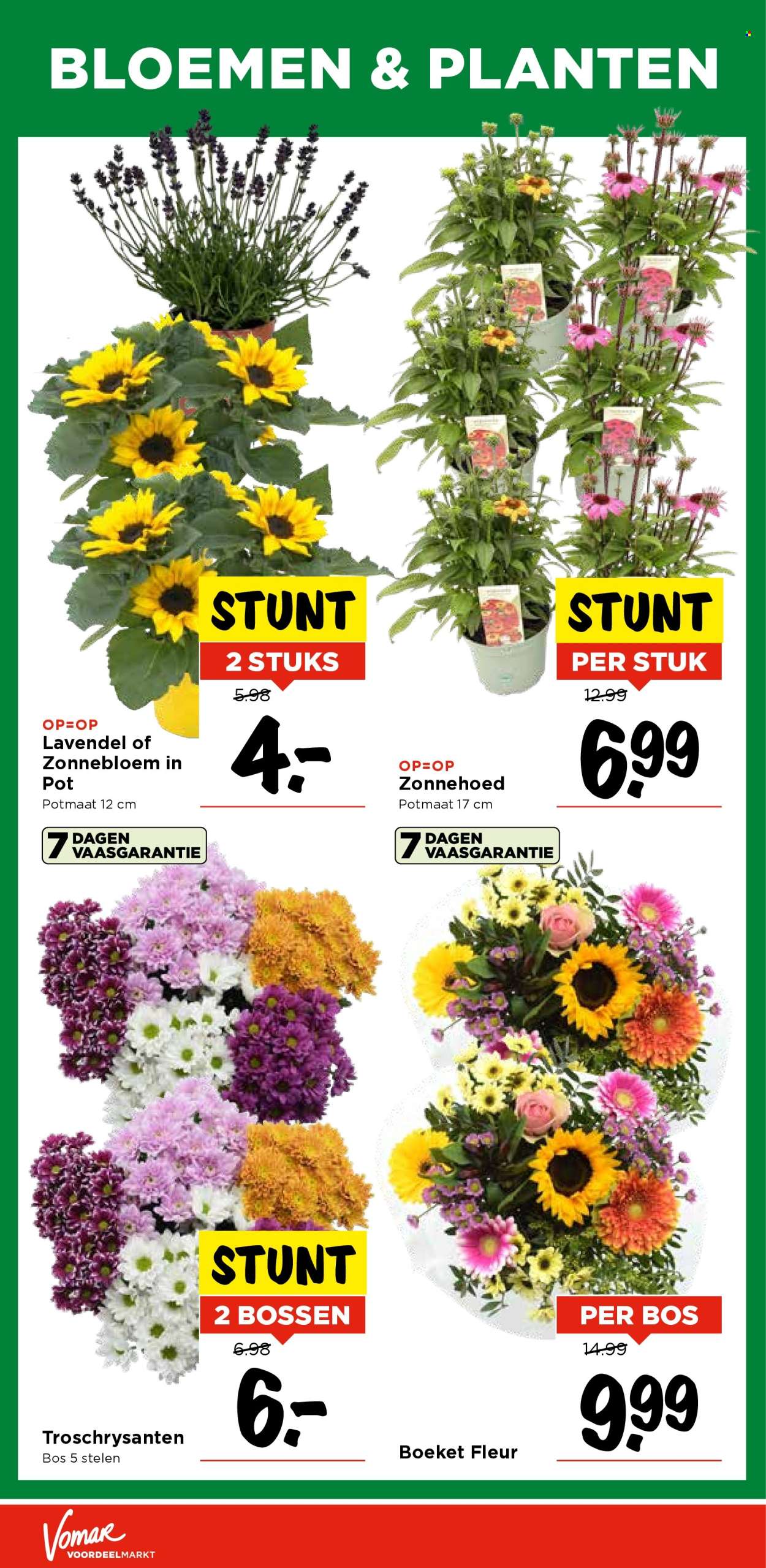 Vomar-aanbieding - 26-6-2025 - 28-6-2025. Pagina 37