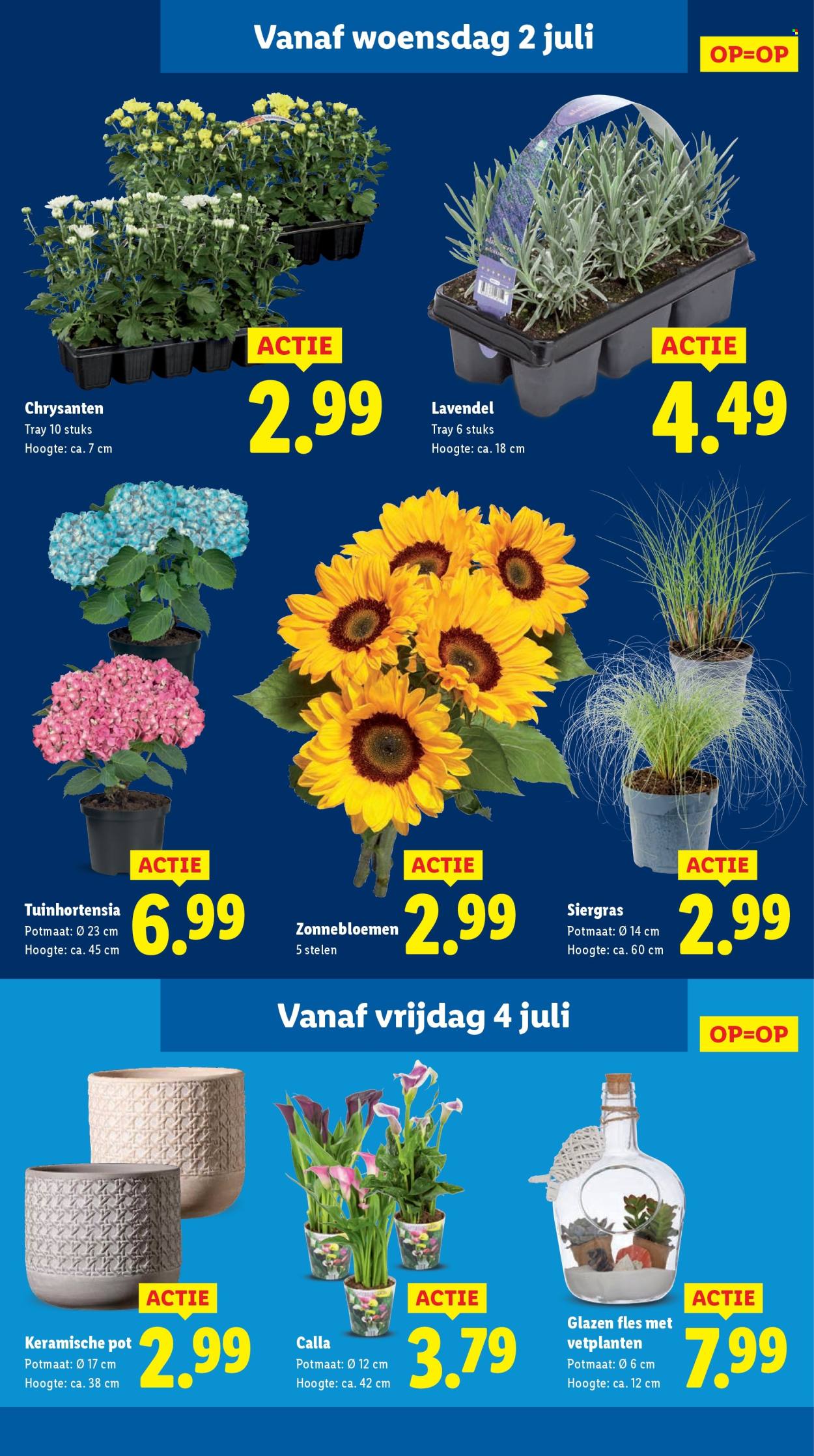 Lidl-aanbieding - 30-6-2025 - 6-7-2025. Pagina 15