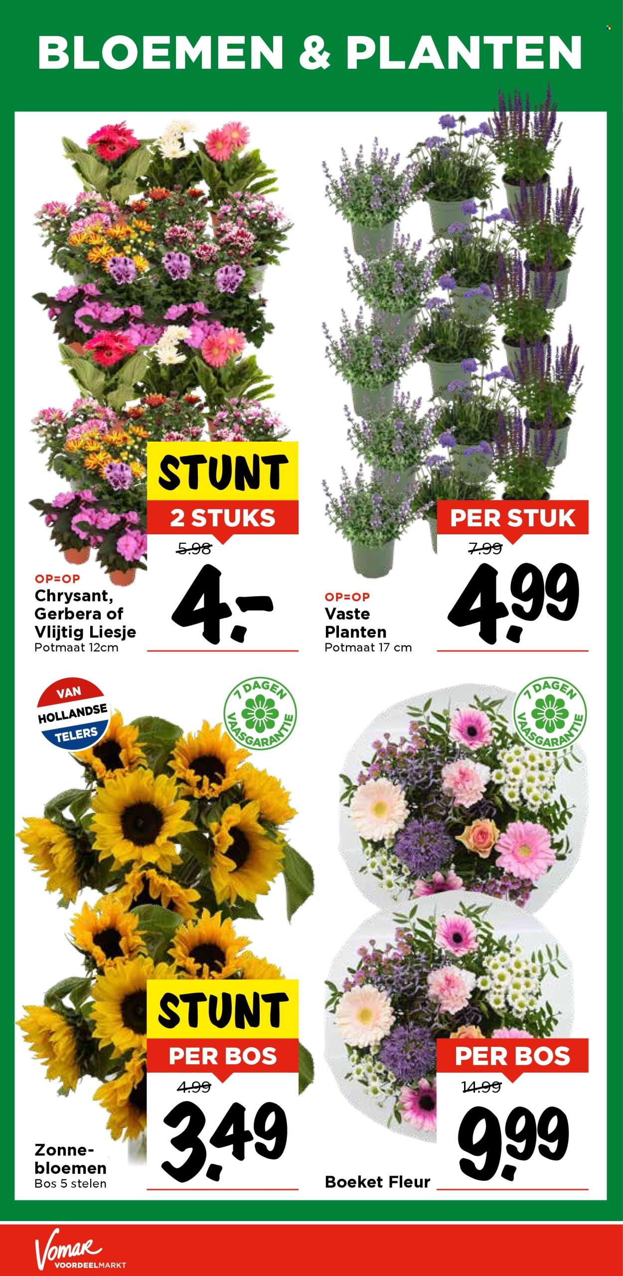 Vomar-aanbieding - 29-6-2025 - 5-7-2025. Pagina 36
