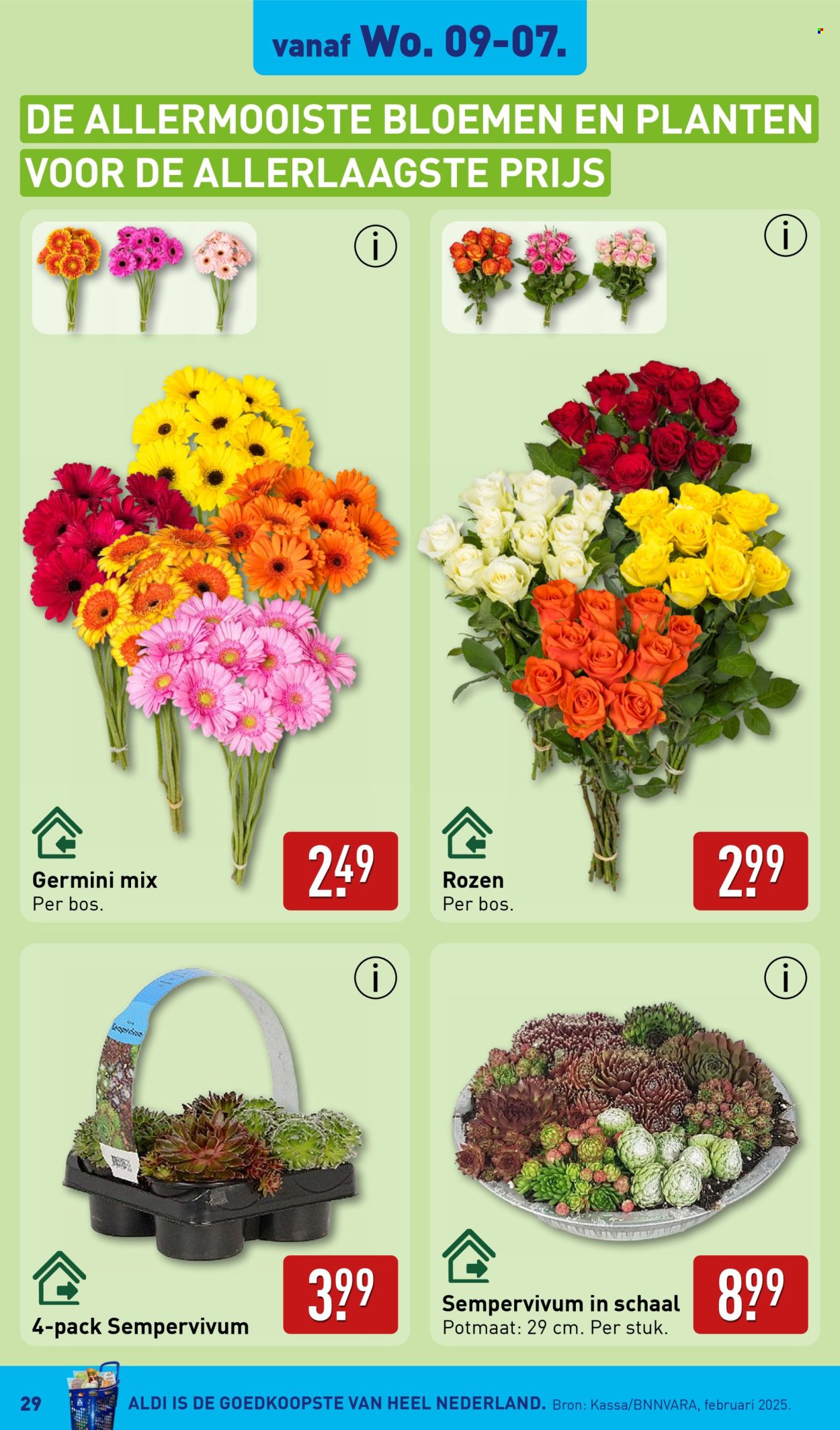 Aldi-aanbieding - 7-7-2025 - 13-7-2025. Pagina 29