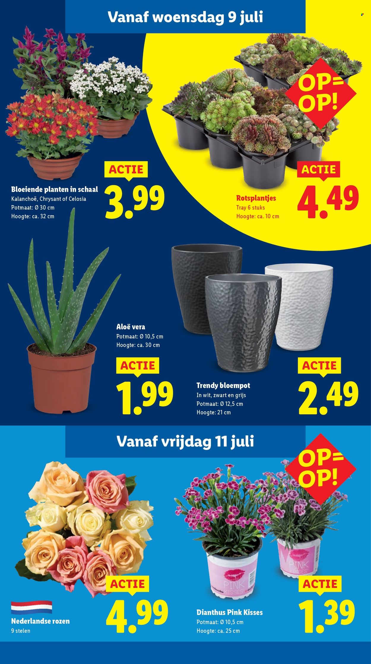 Lidl-aanbieding - 7-7-2025 - 13-7-2025. Pagina 12