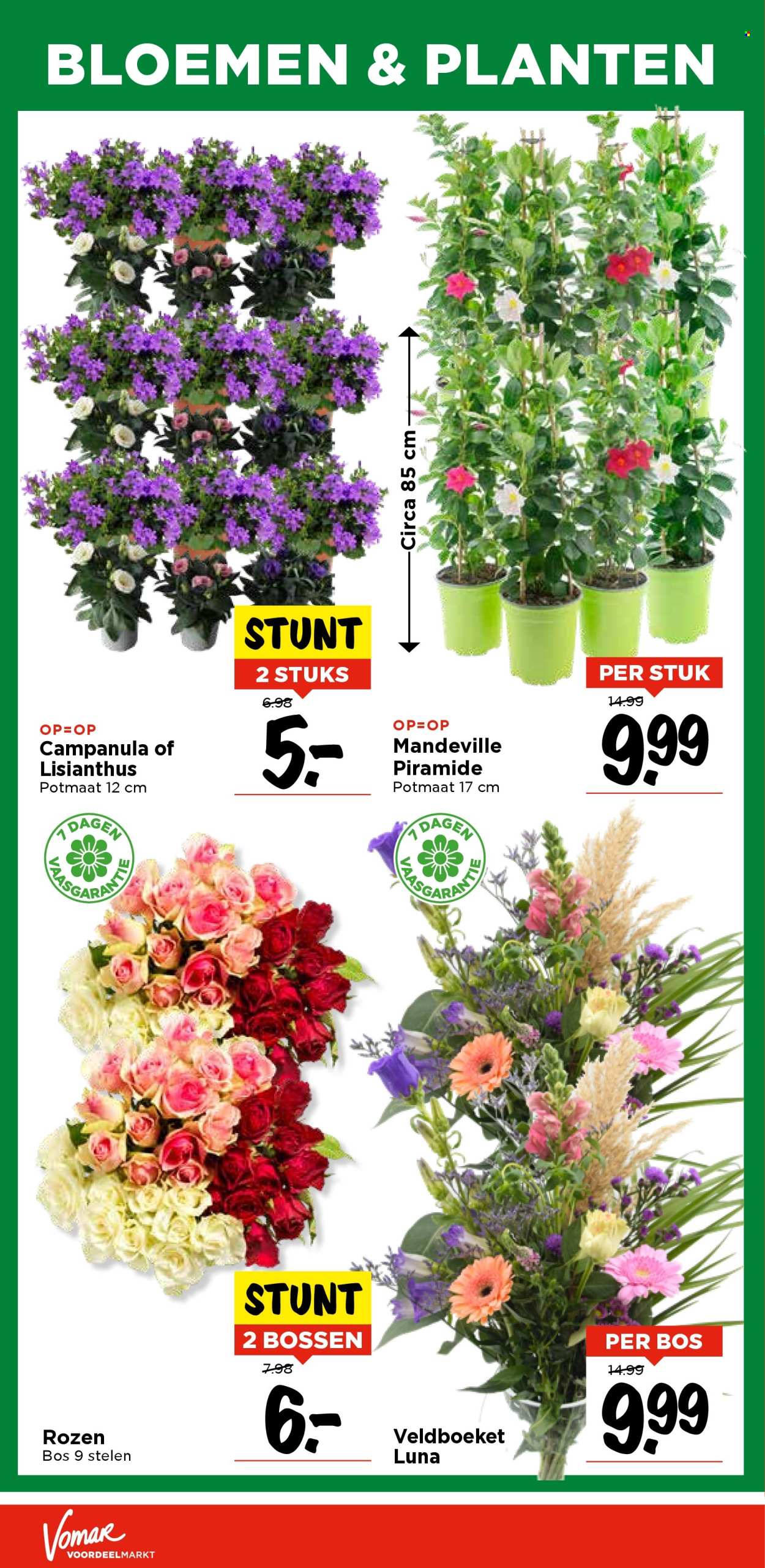 Vomar-aanbieding - 6-7-2025 - 12-7-2025. Pagina 31