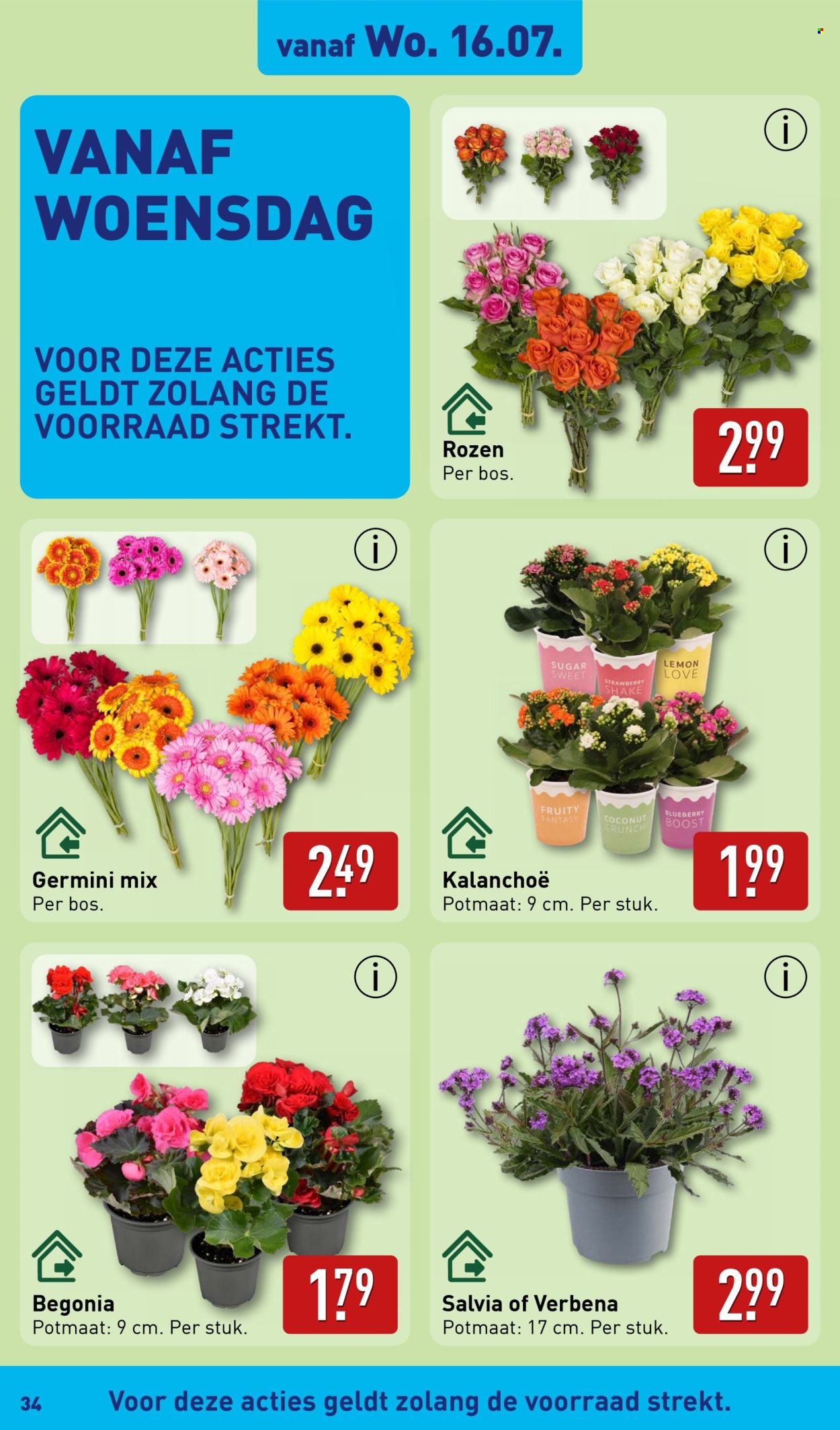 Aldi-aanbieding - 14-7-2025 - 20-7-2025. Pagina 34