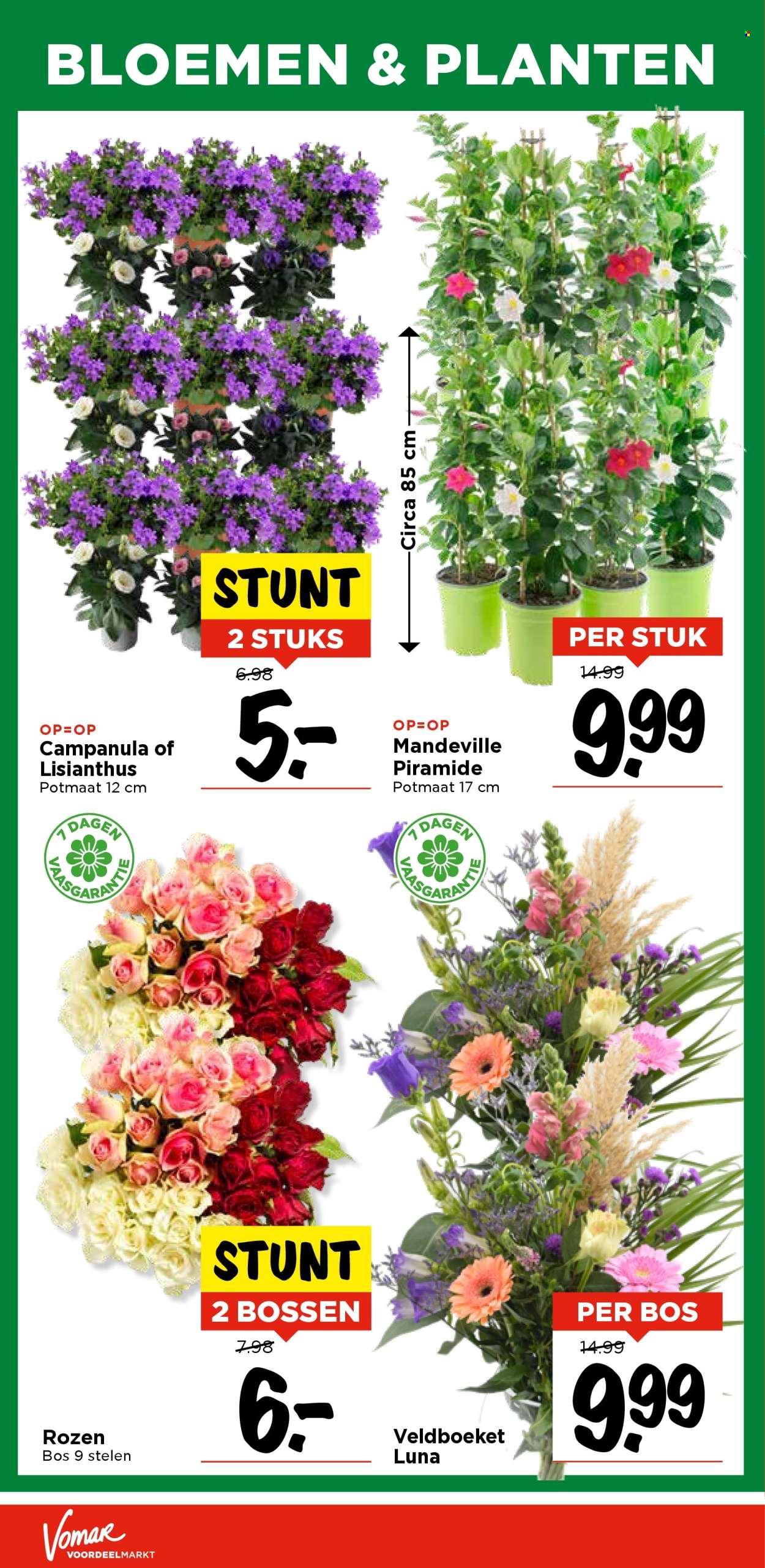 Vomar-aanbieding - 10-7-2025 - 12-7-2025. Pagina 39