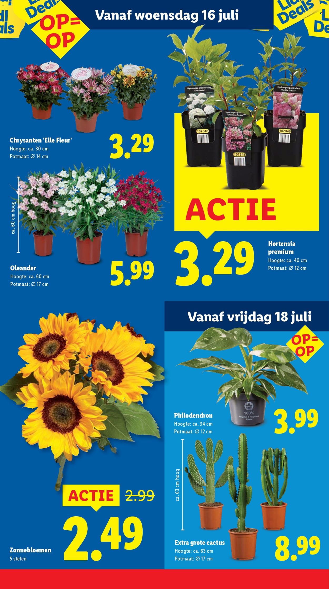 Lidl-aanbieding - 14-7-2025 - 20-7-2025. Pagina 15