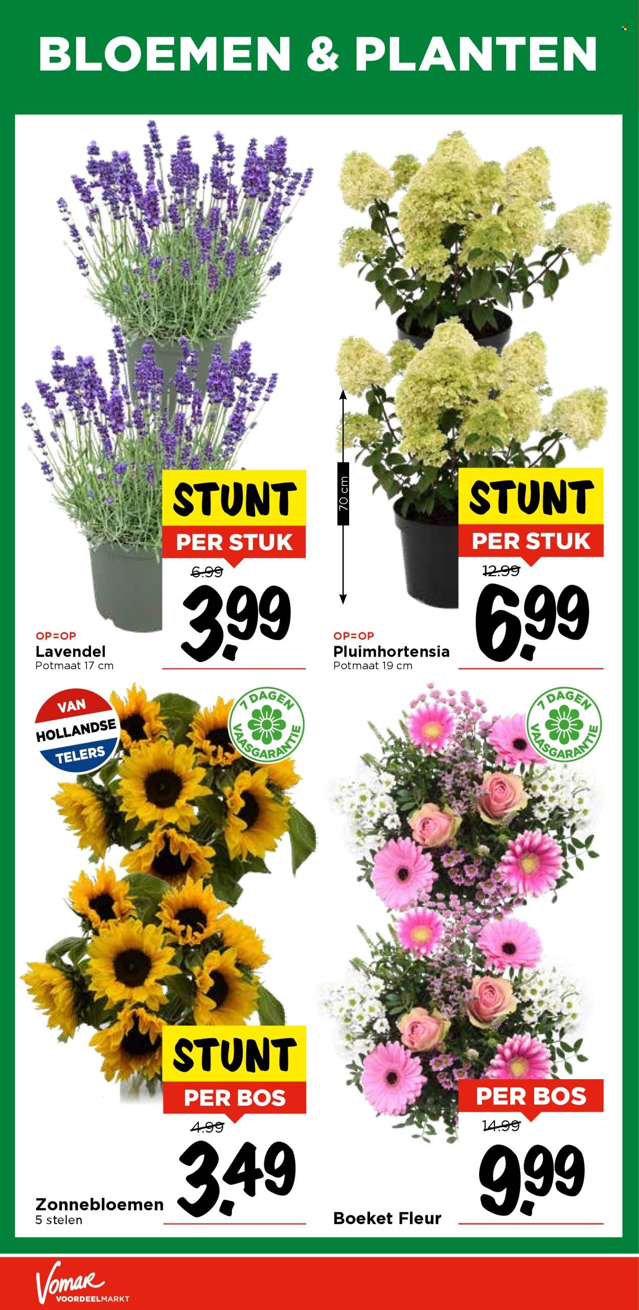 Vomar-aanbieding - 17-7-2025 - 19-7-2025. Pagina 38