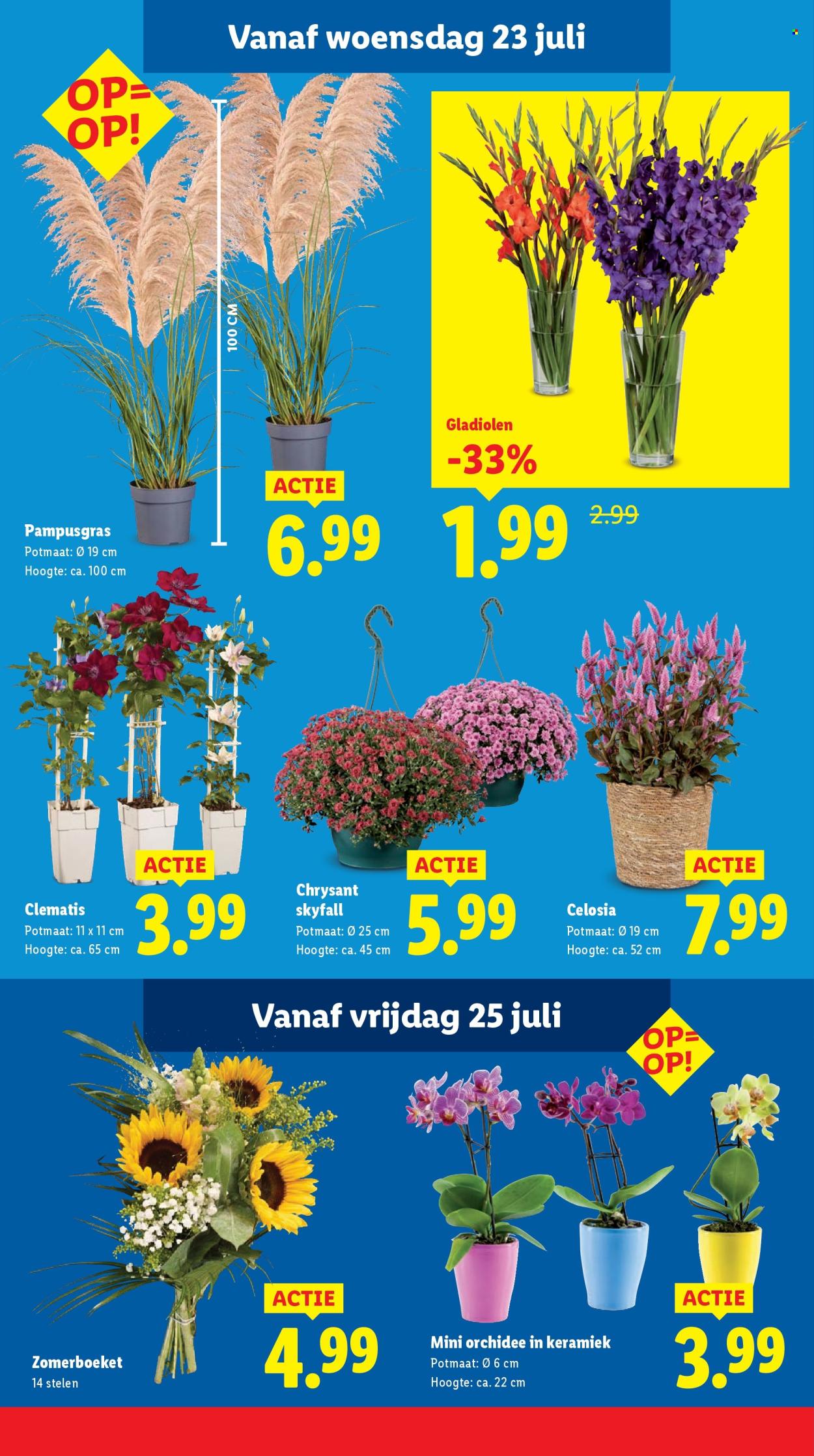 Lidl-aanbieding - 21-7-2025 - 27-7-2025. Pagina 16