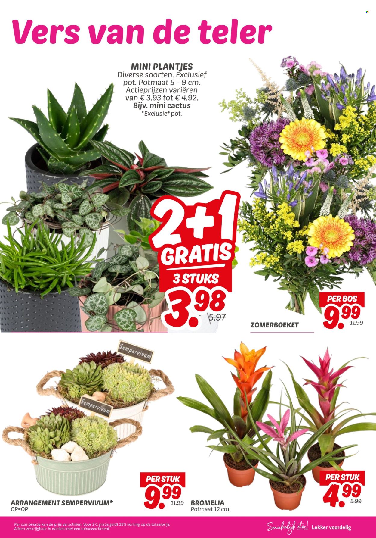 DekaMarkt-aanbieding - 22-7-2025 - 28-7-2025. Pagina 23