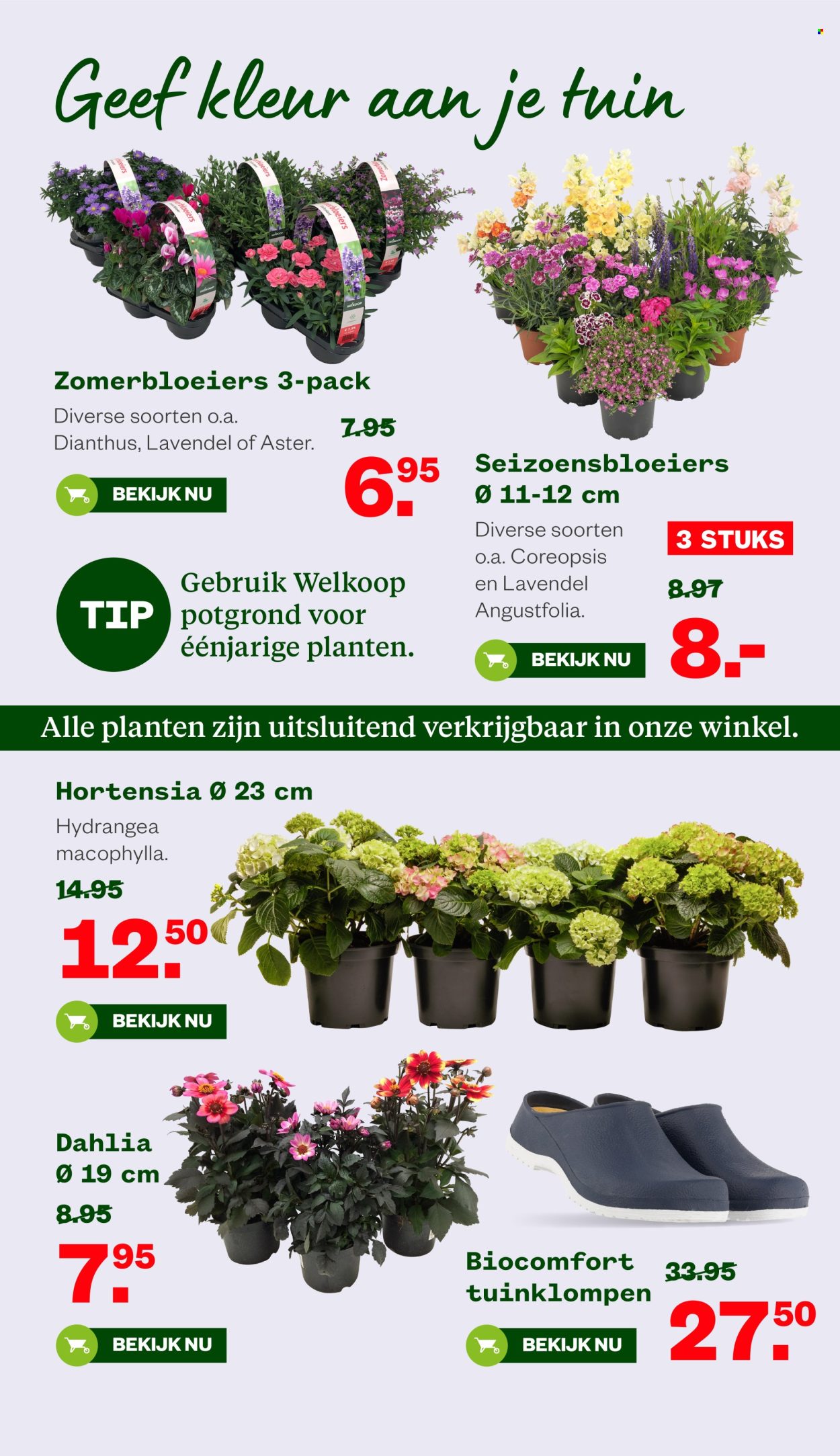 Welkoop-aanbieding - 14-7-2025 - 3-8-2025. Pagina 8