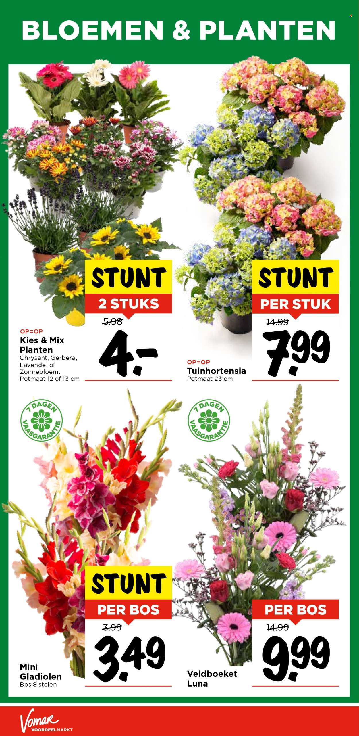 Vomar-aanbieding - 24-7-2025 - 26-7-2025. Pagina 34