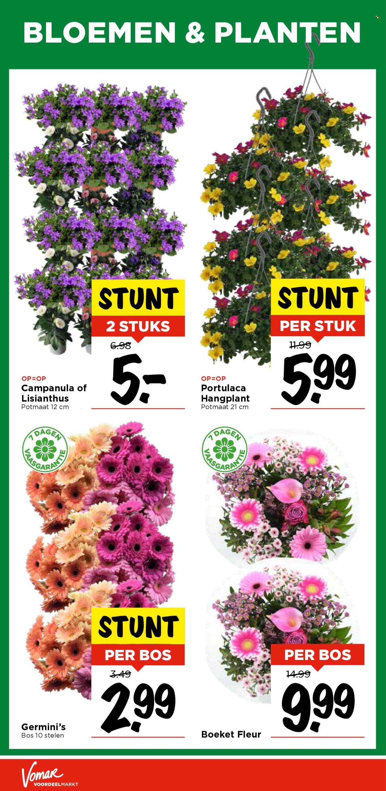 Vomar-aanbieding - 27-7-2025 - 2-8-2025. Pagina 28