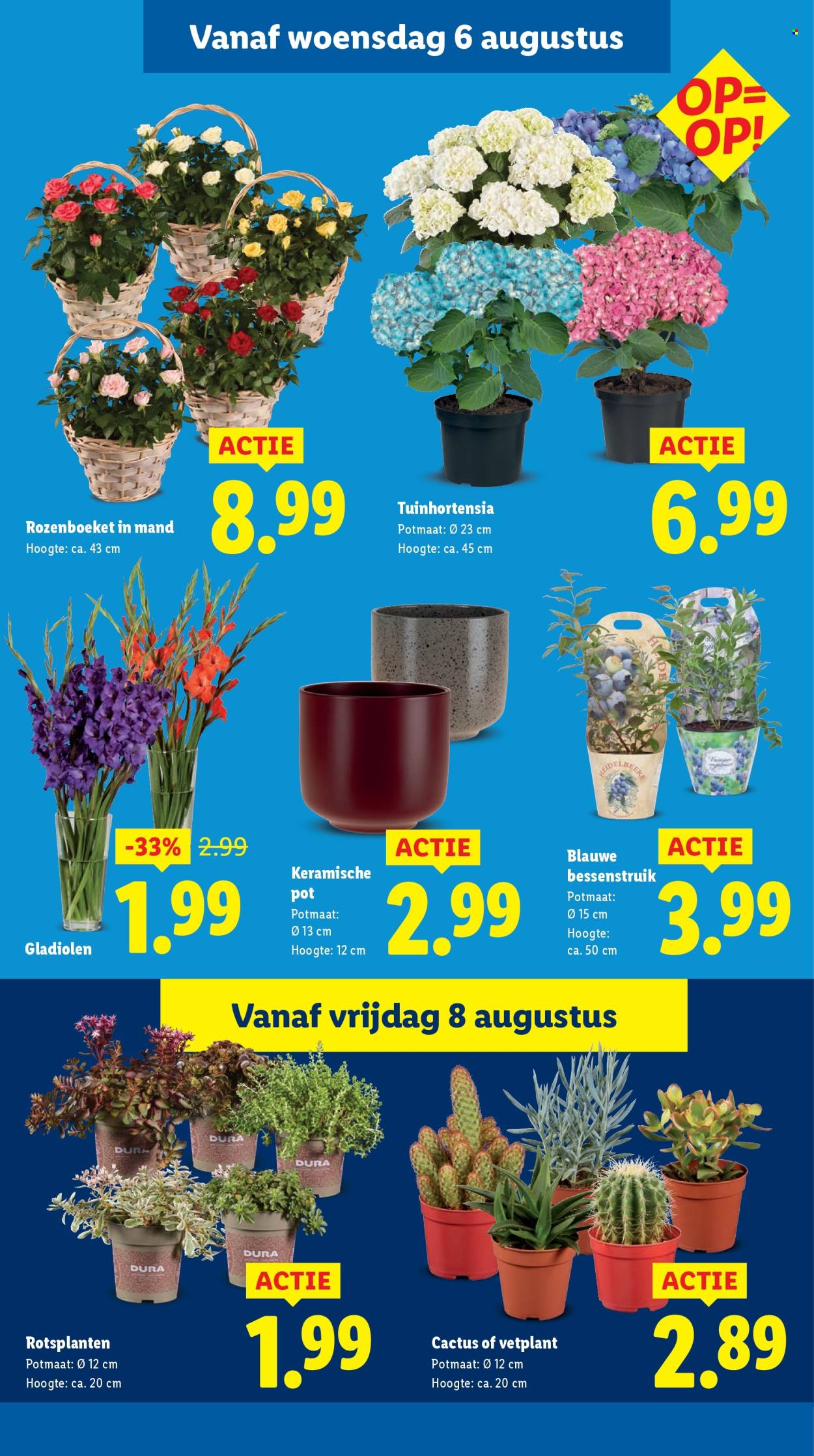 Lidl-aanbieding - 4-8-2025 - 10-8-2025. Pagina 14