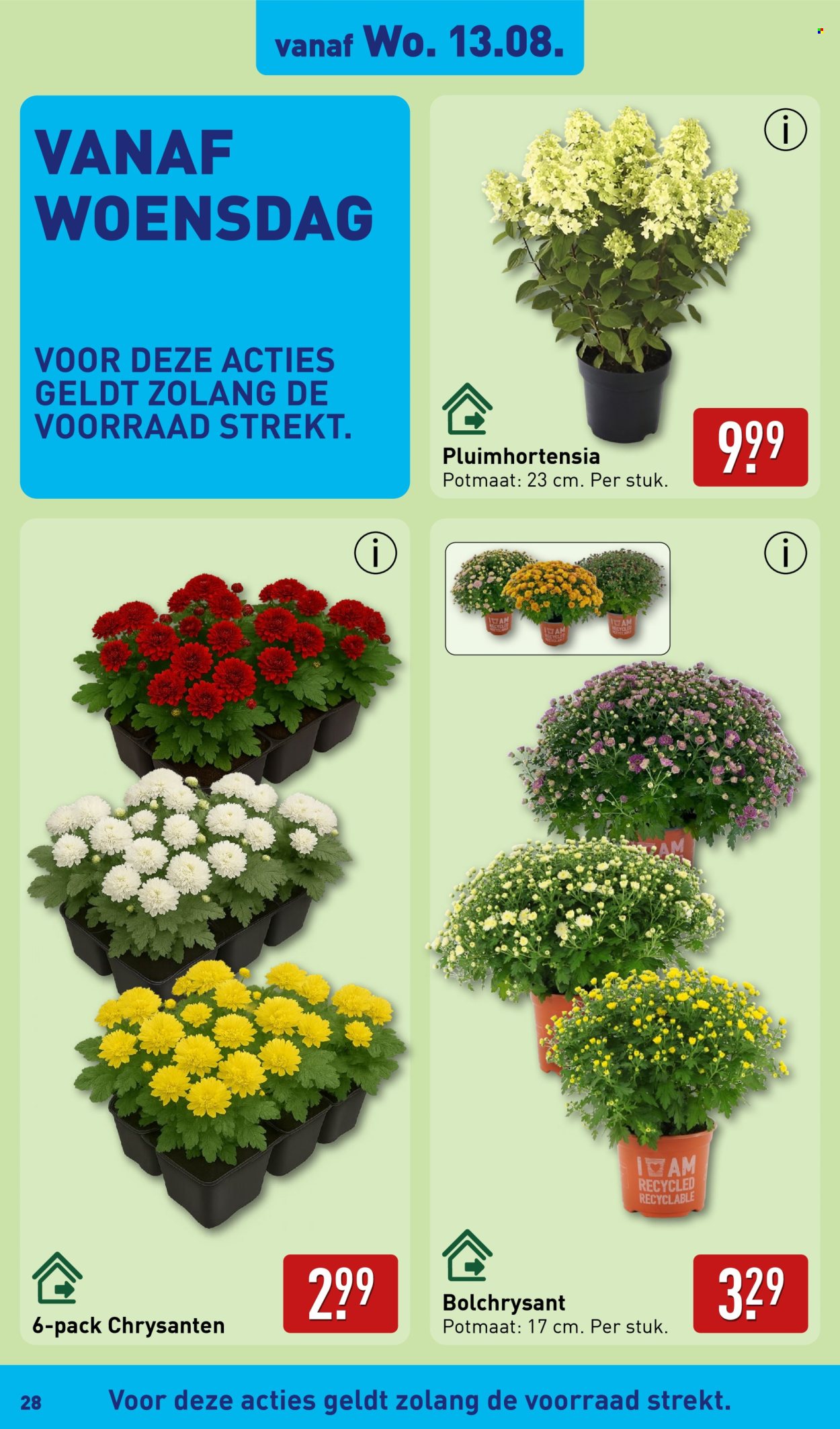 Aldi-aanbieding - 11-8-2025 - 17-8-2025. Pagina 28