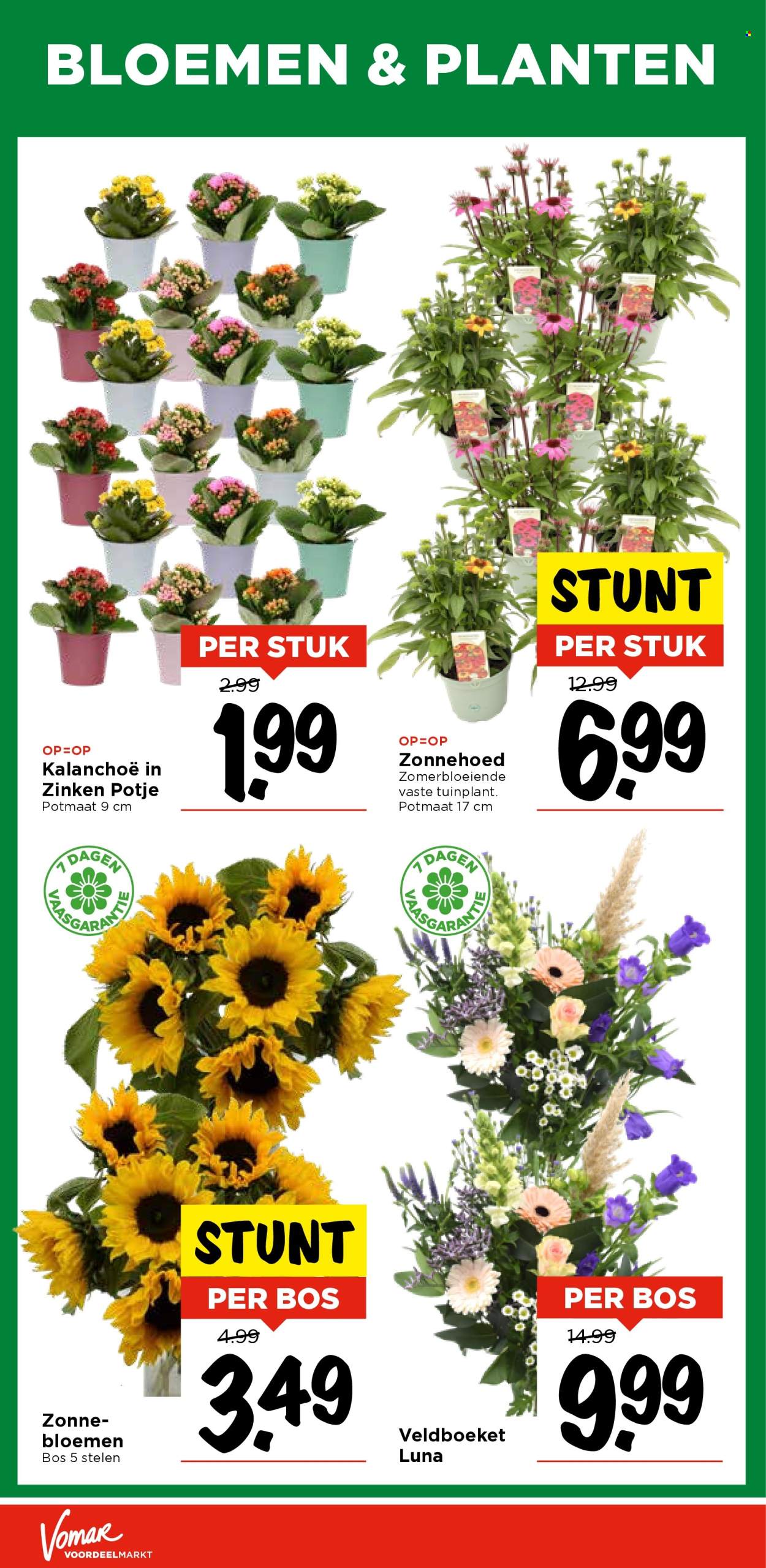 Vomar-aanbieding - 6-8-2025 - 9-8-2025. Pagina 29