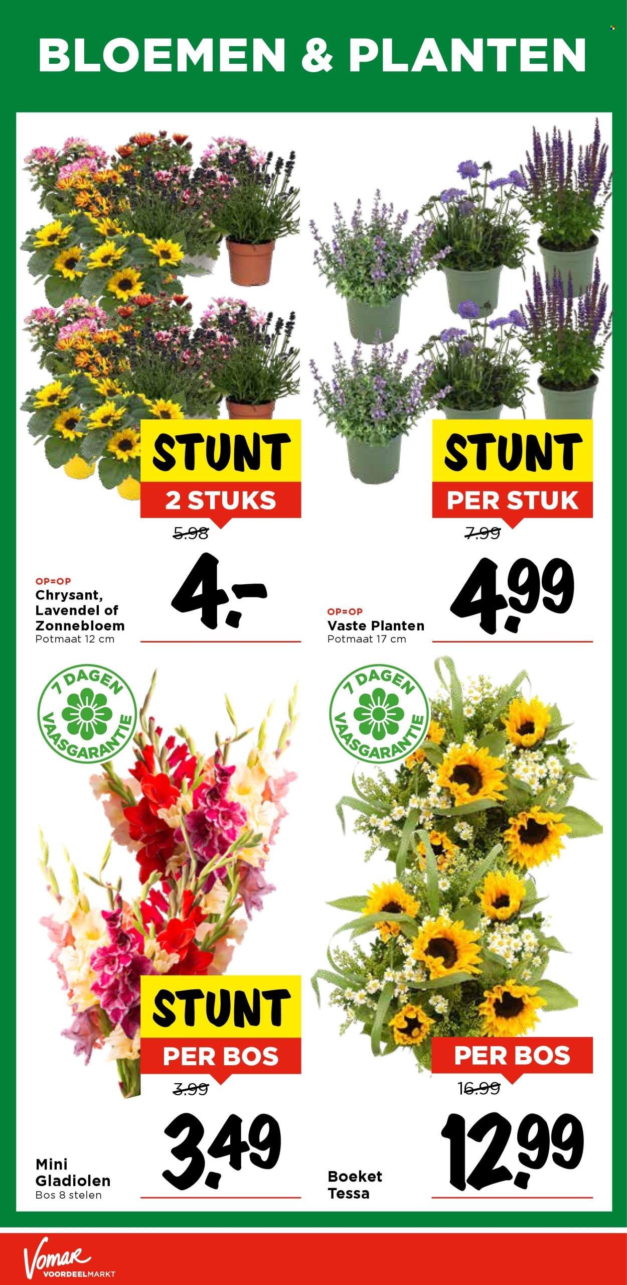 Vomar-aanbieding - 14-8-2025 - 16-8-2025. Pagina 34